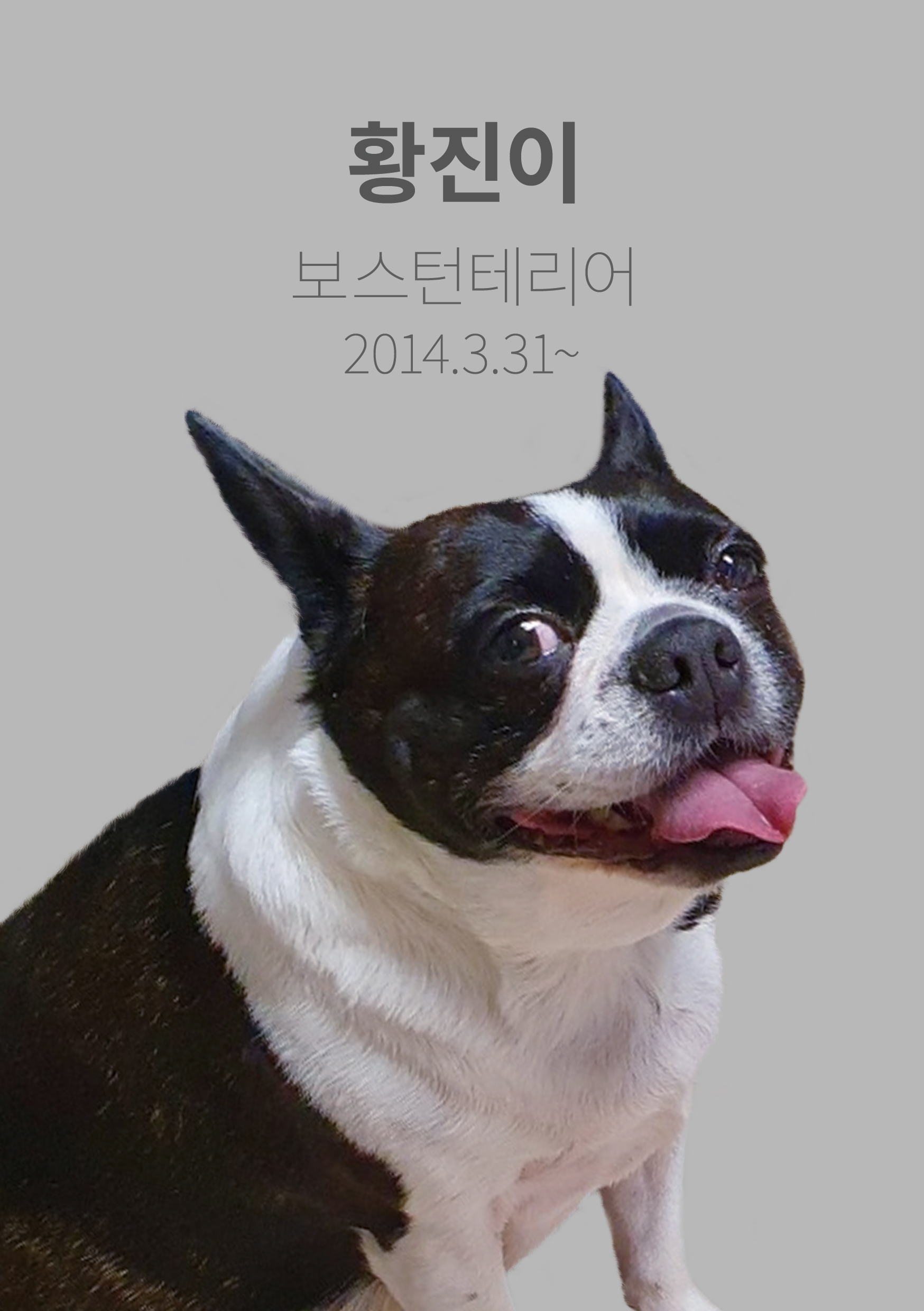 시티독 5