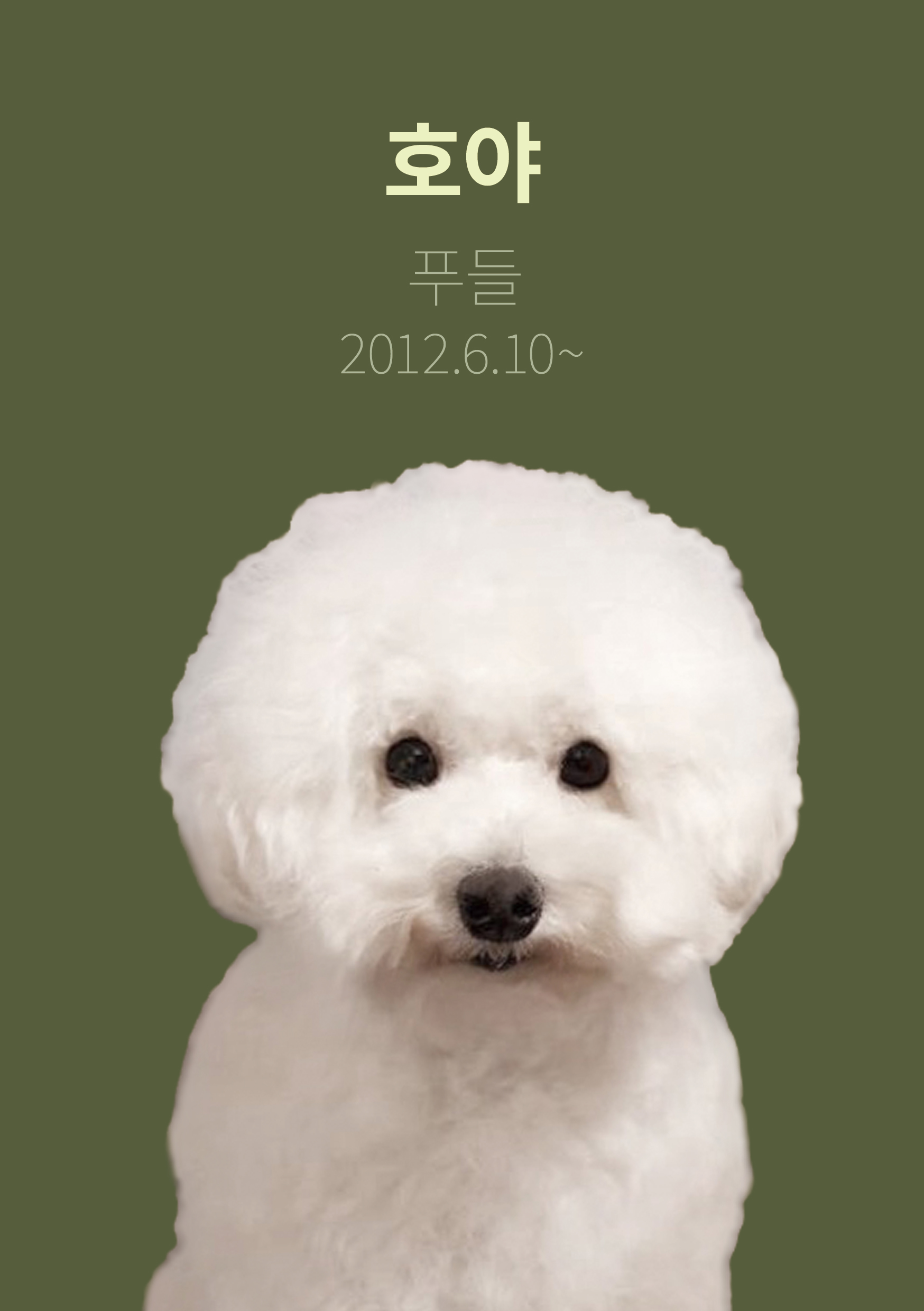 시티독 7