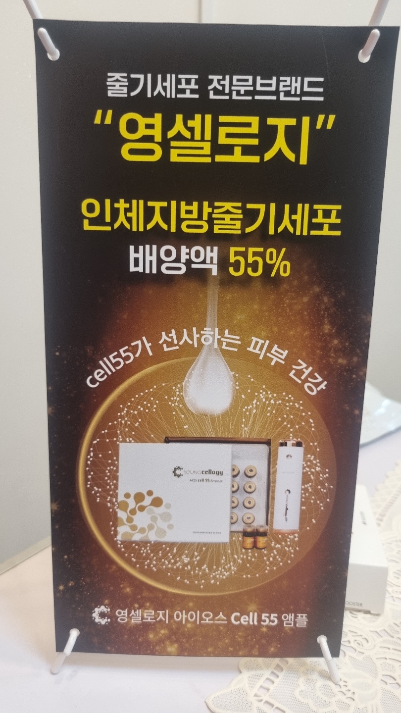 영셀컴퍼니 대표 이미지