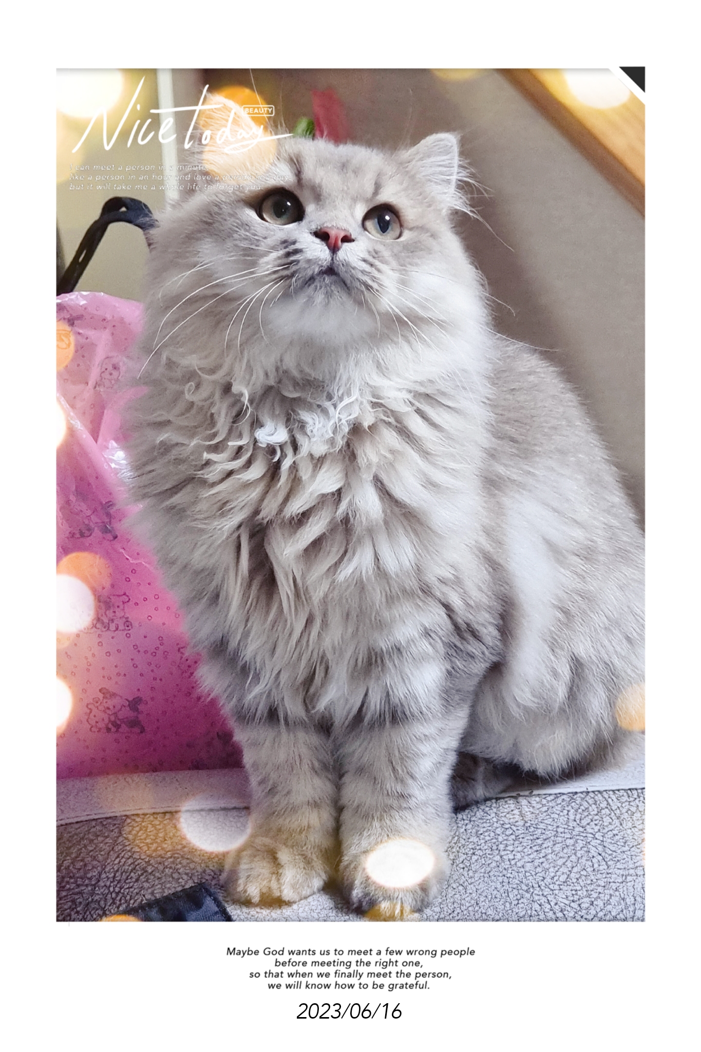 멍블링 대표 이미지