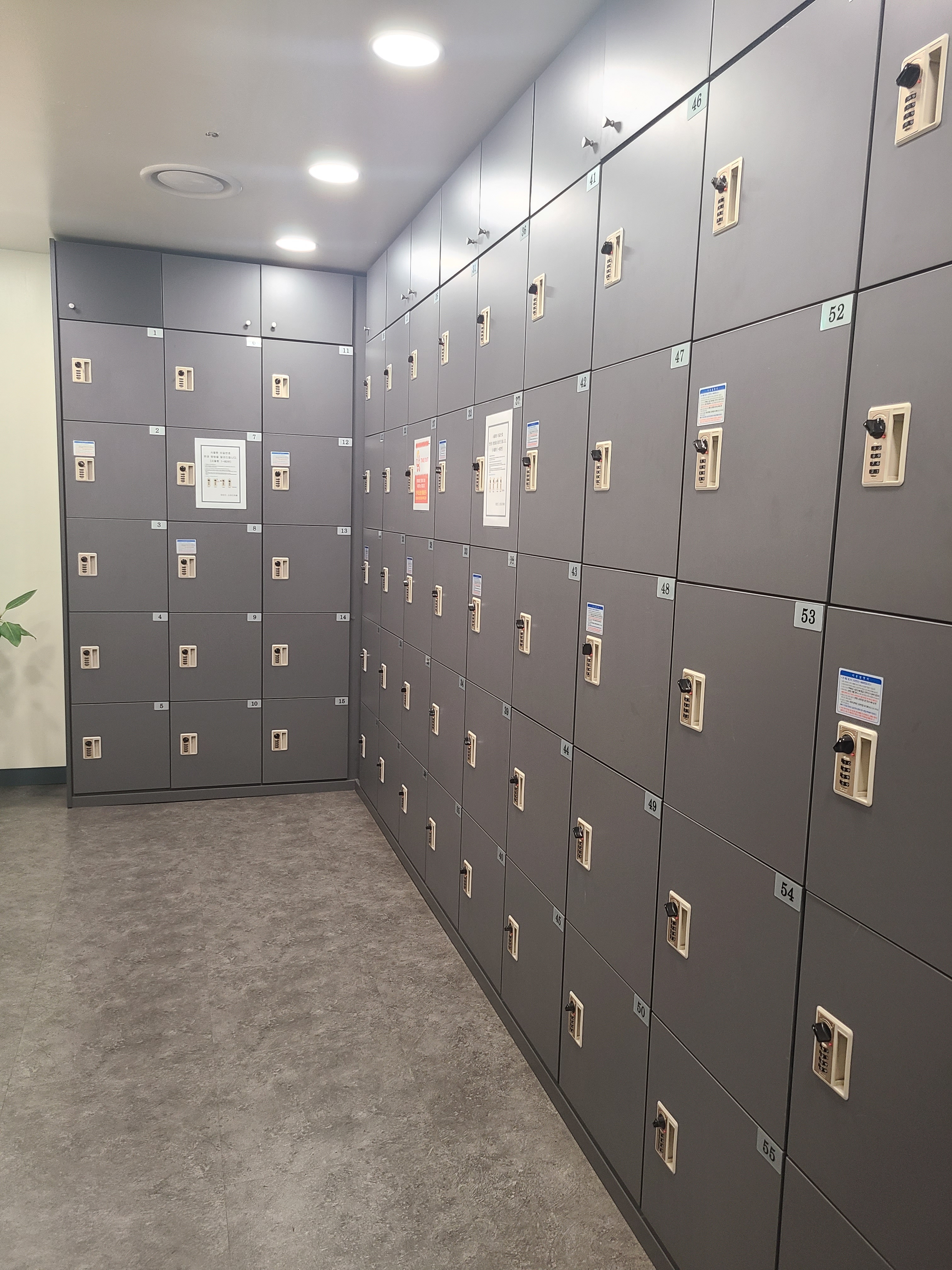 업체사진