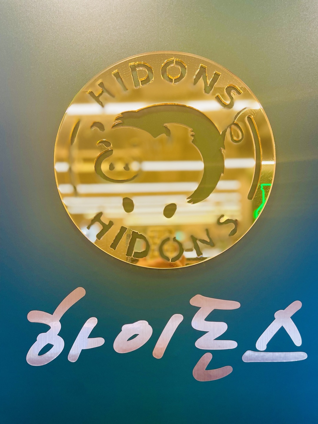 하이돈스