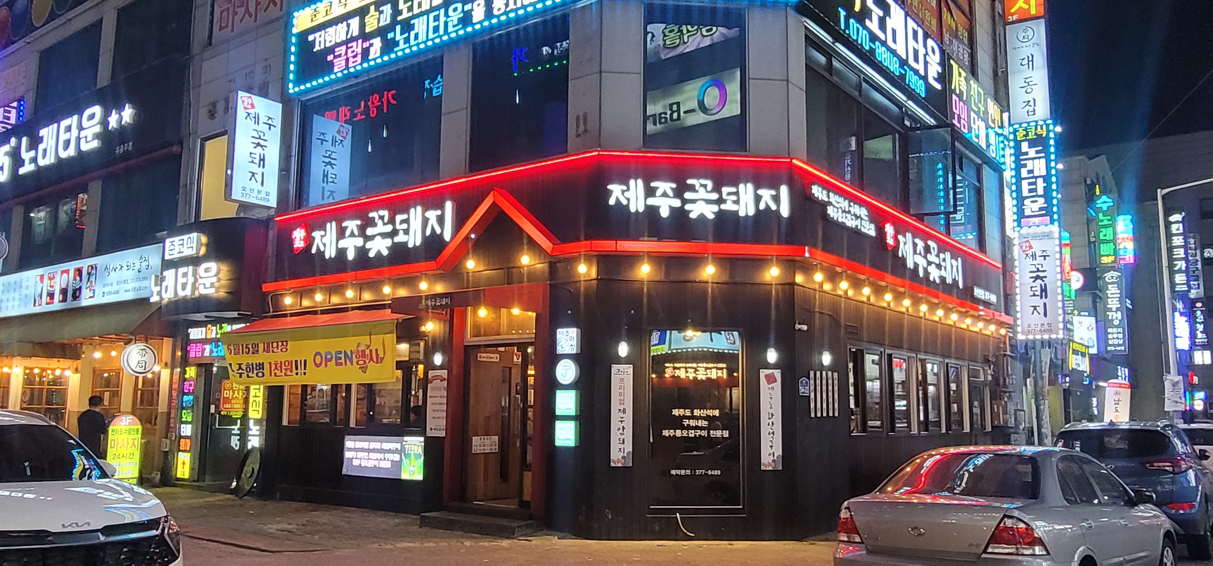 제주꽃돼지