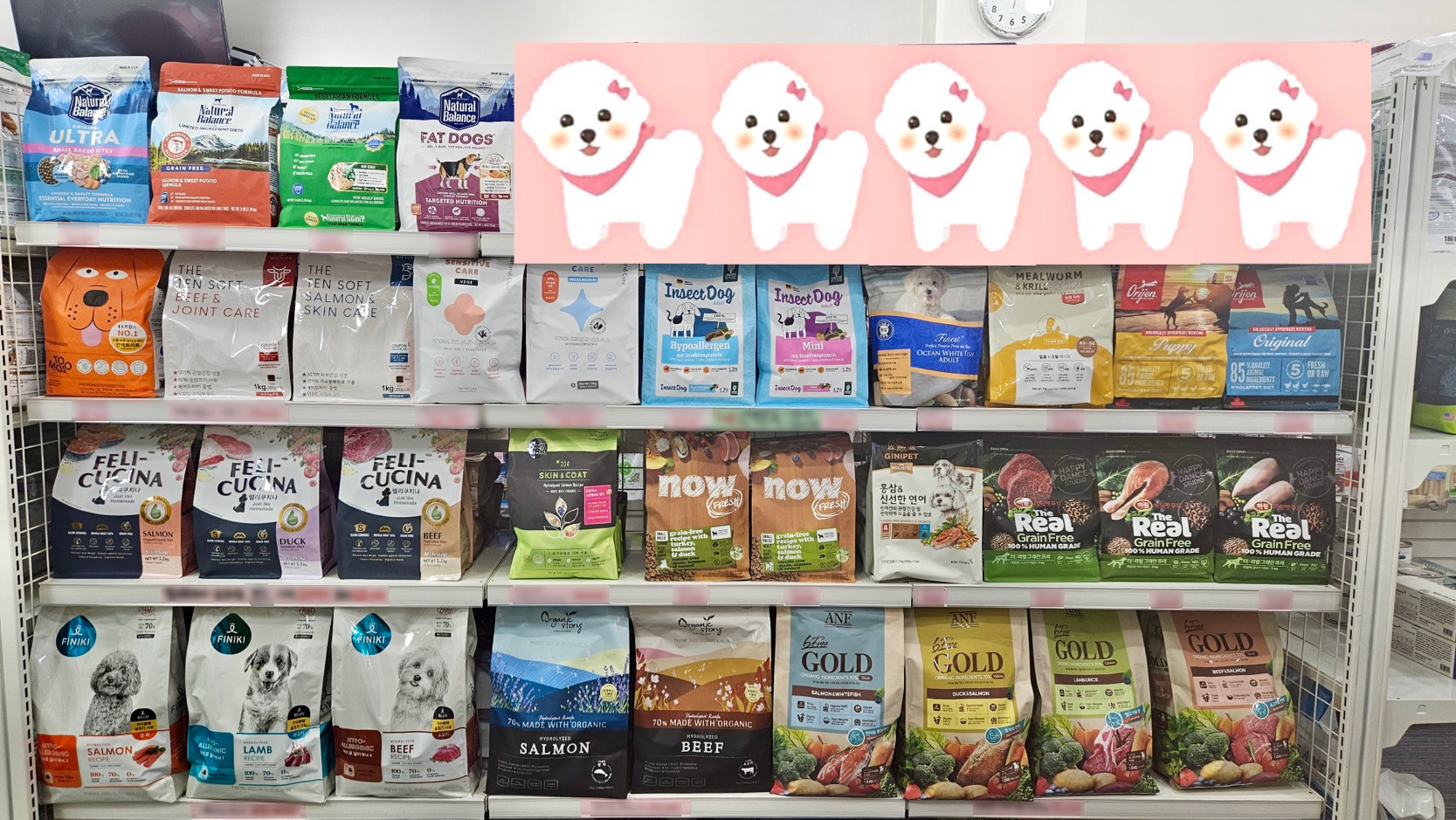 와와펫 애견미용 반려동물용품 할인마트