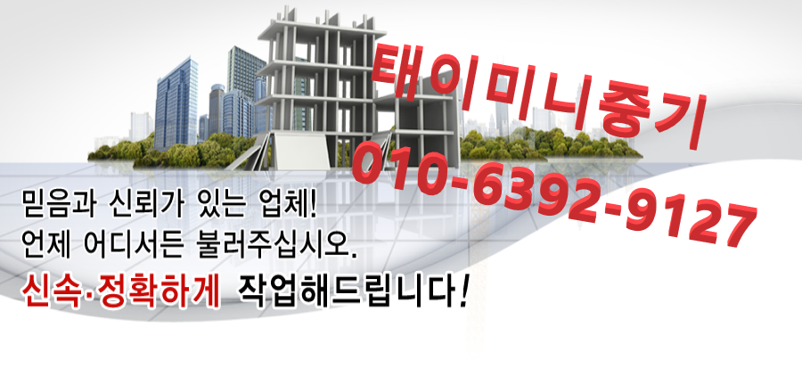 태이미니중기