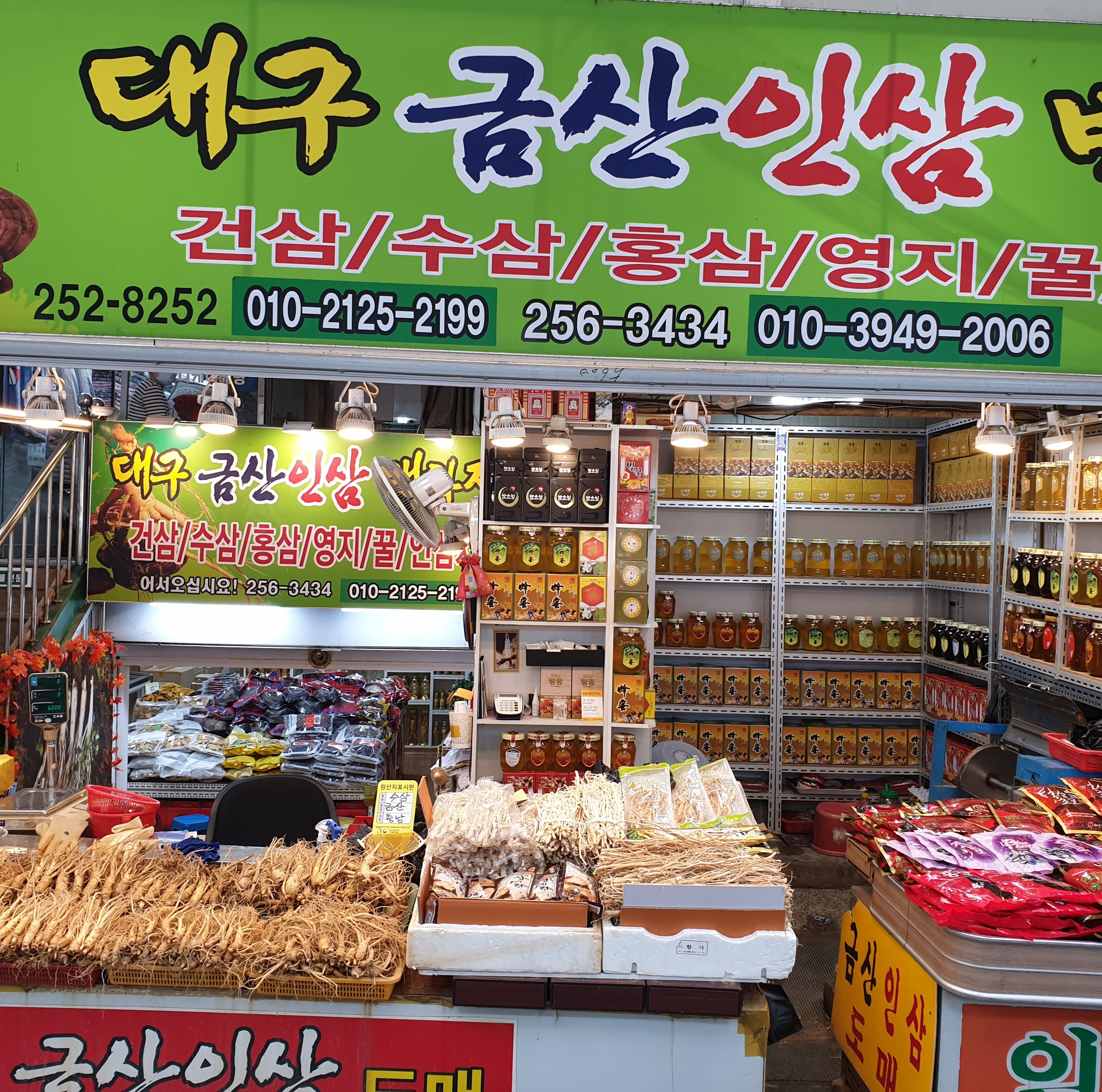 금산인삼