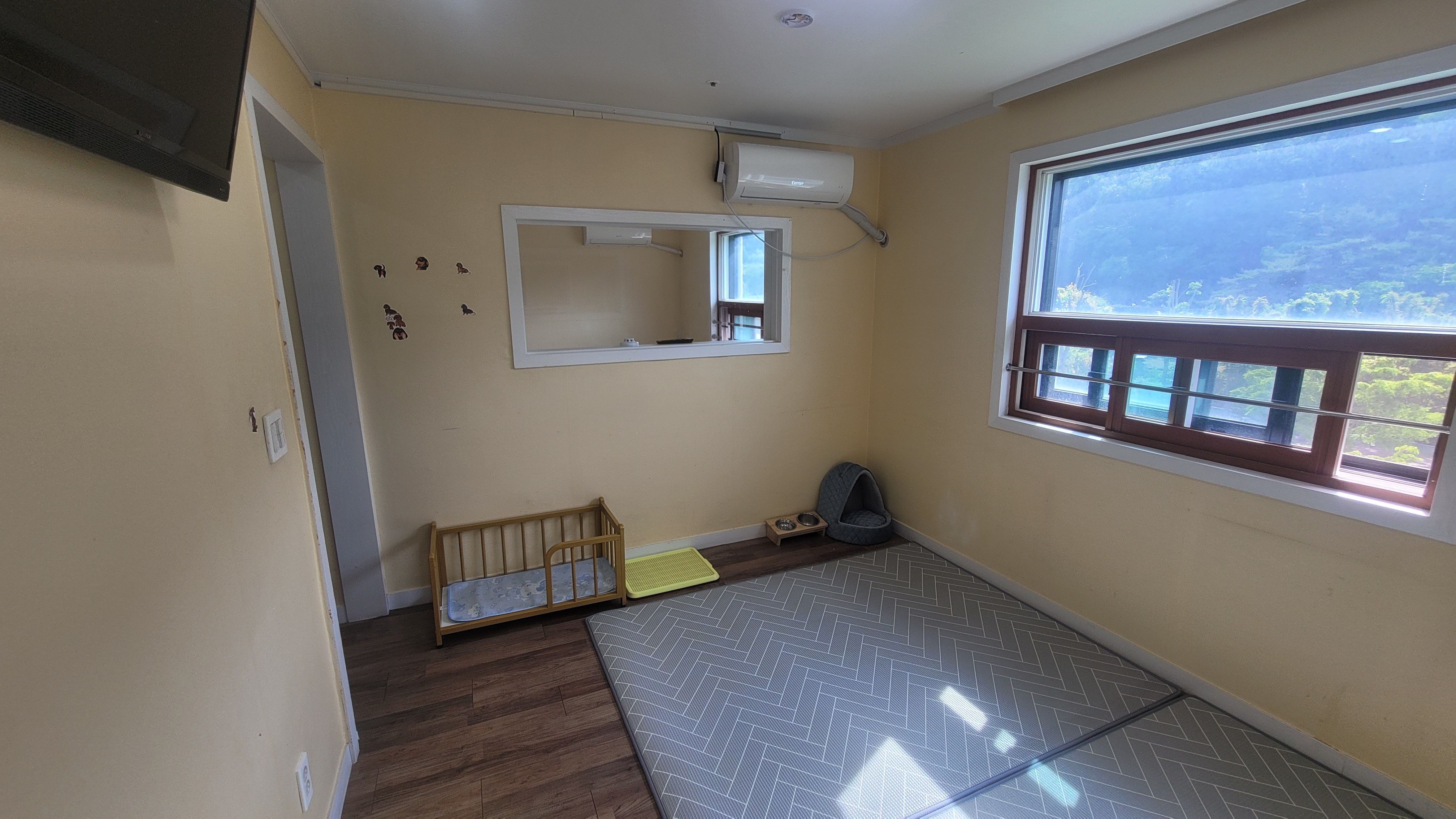 카네이션퍼피호텔 대표 이미지