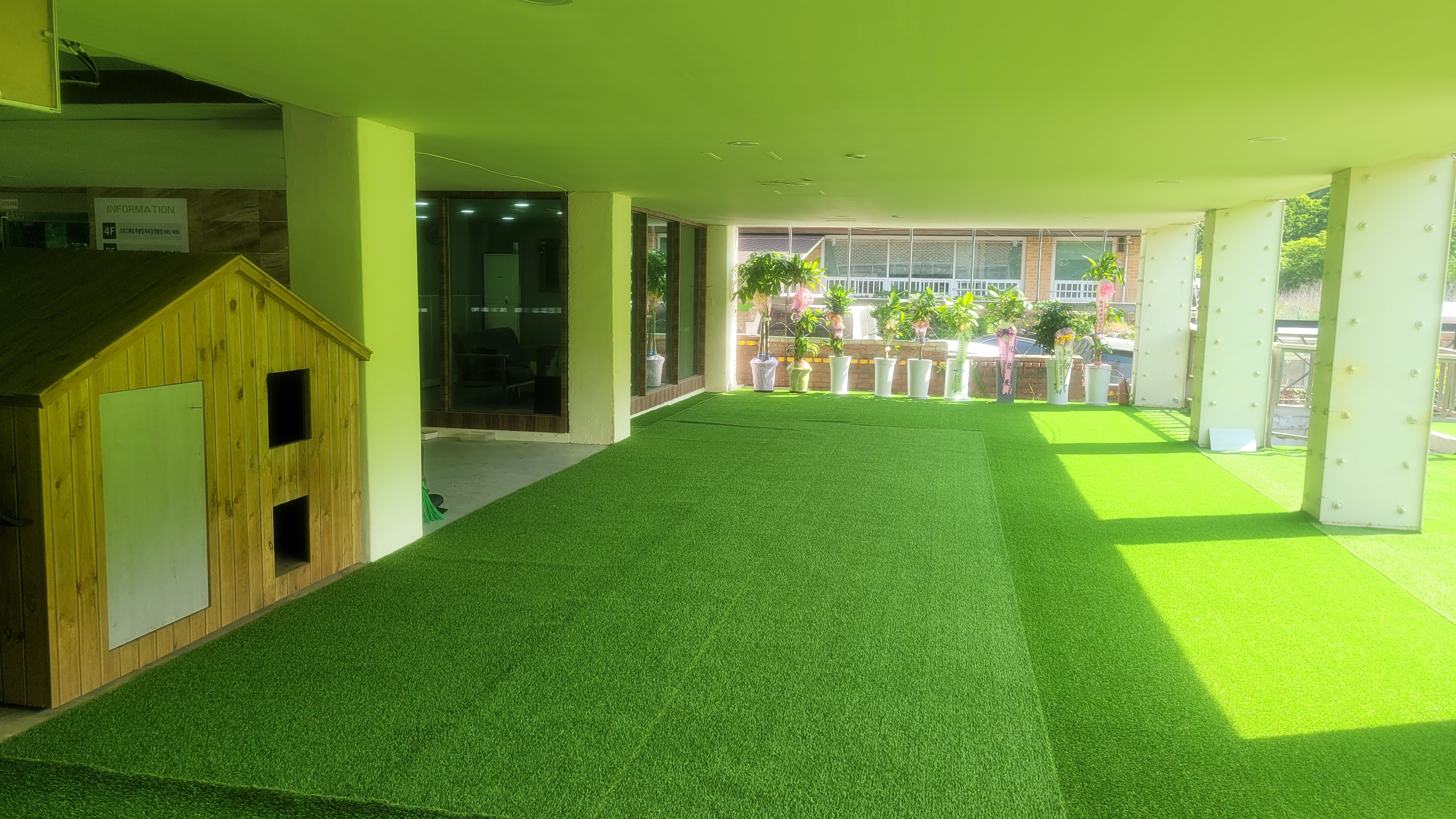 카네이션퍼피호텔 대표 이미지