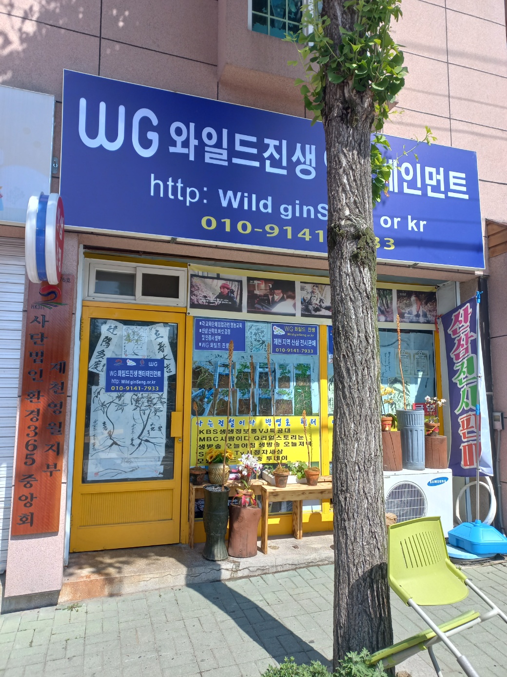 와일드진생WG엔터테인먼트