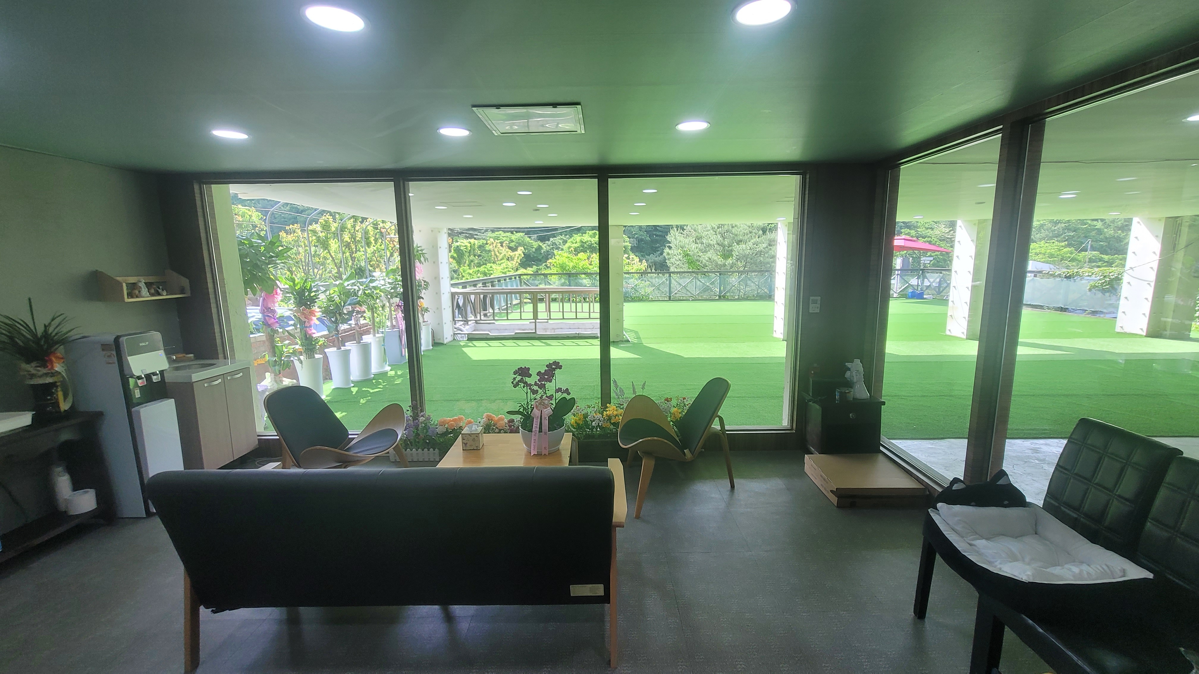 카네이션퍼피호텔 대표 이미지