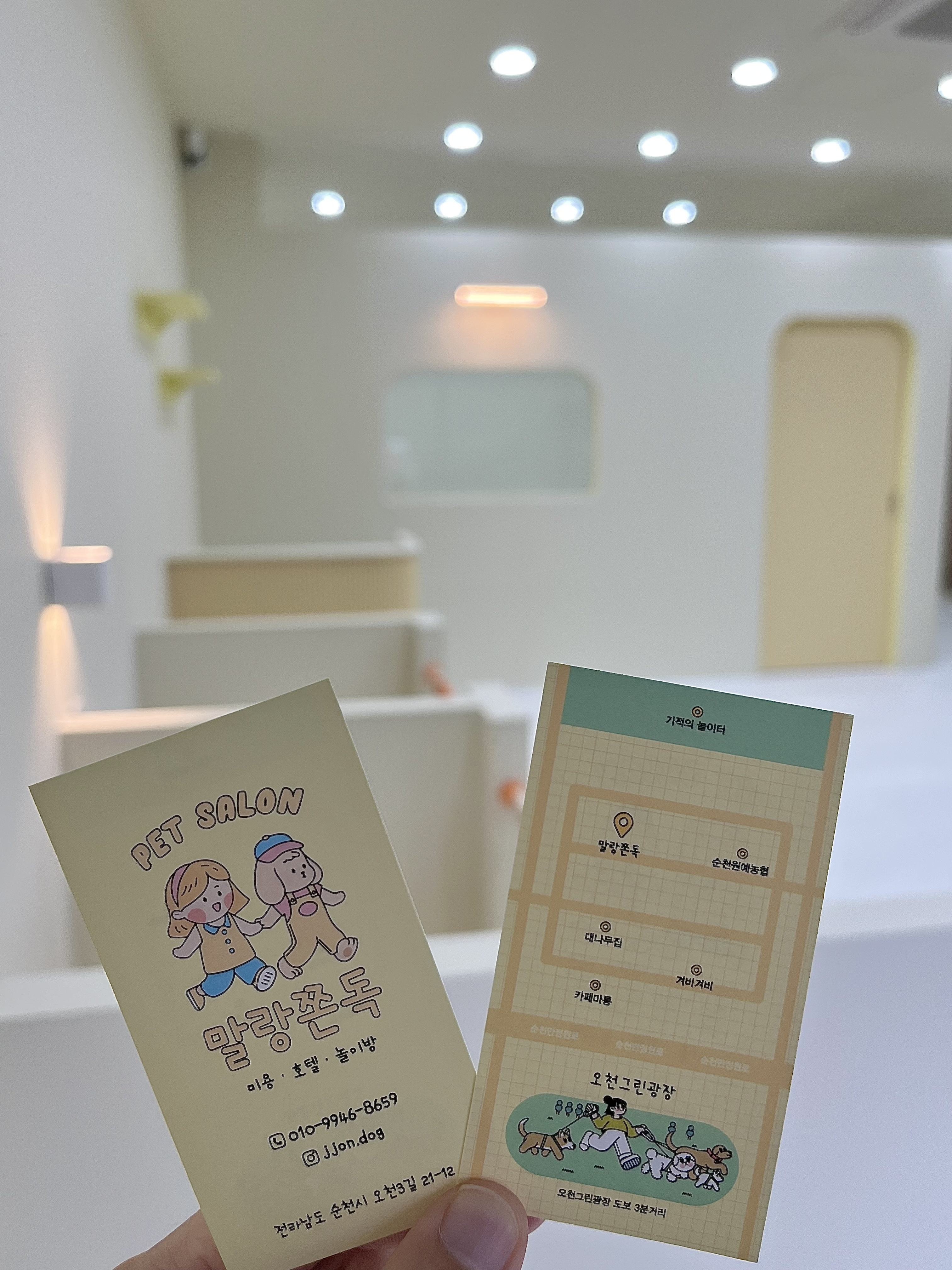 말랑쫀독 대표 이미지