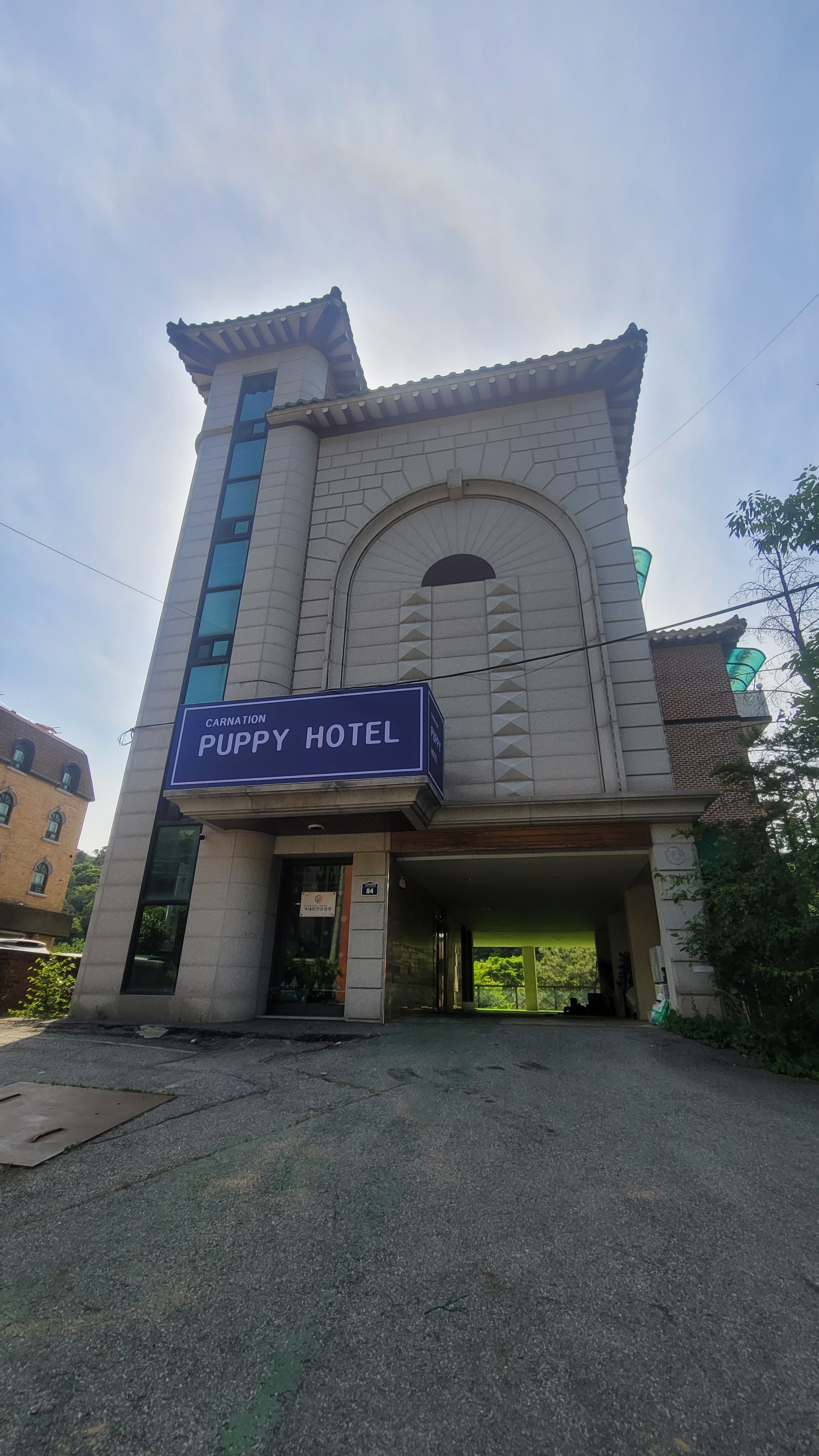 카네이션퍼피호텔 대표 이미지