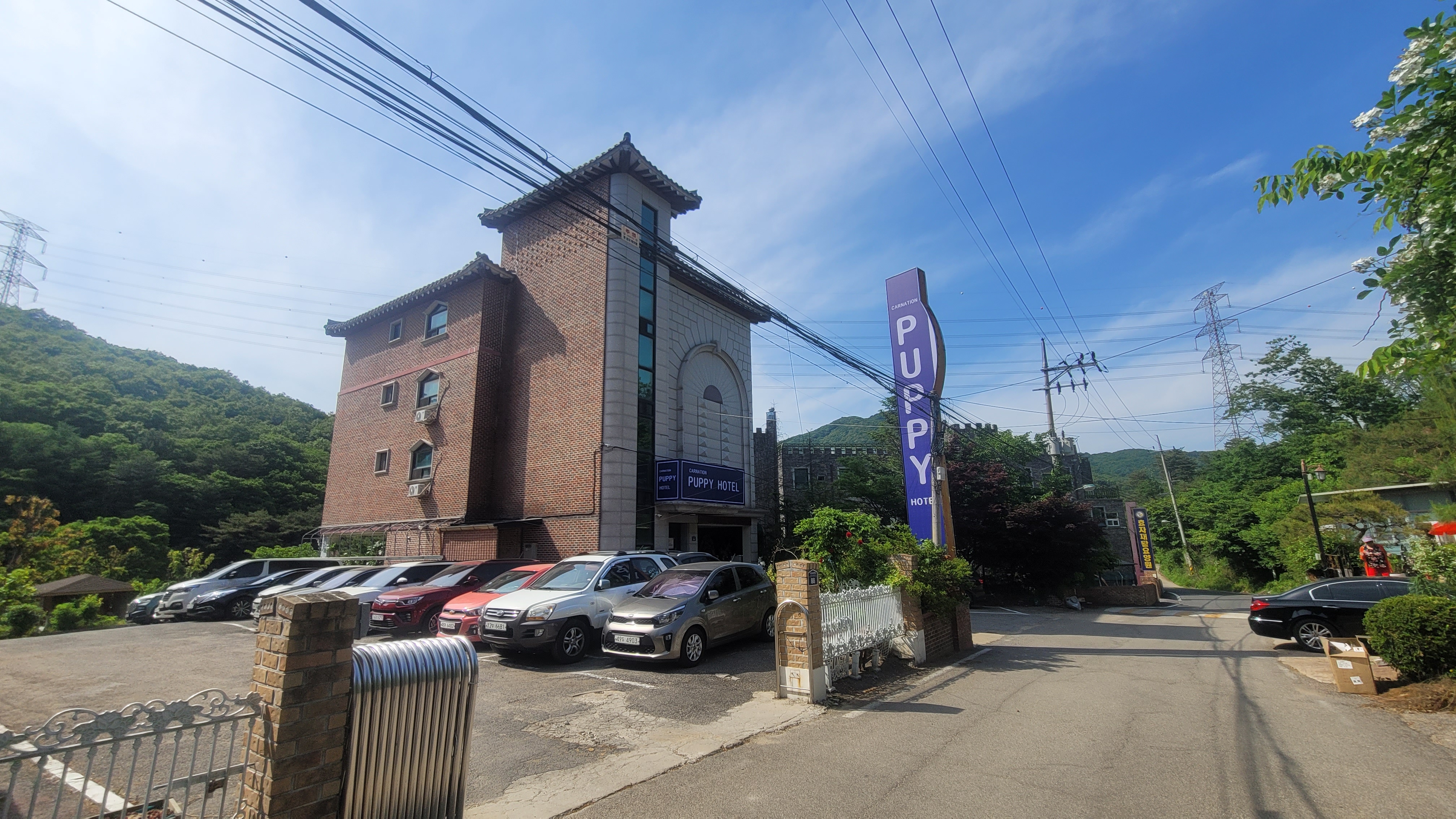 카네이션퍼피호텔 대표 이미지