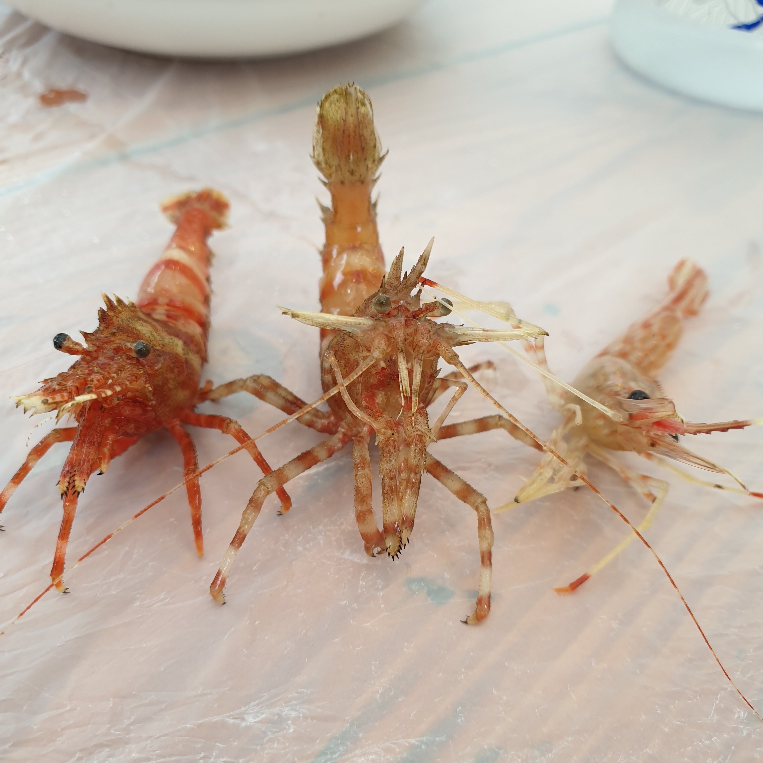 행복수산