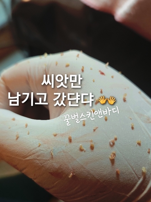 꿀벌스킨앤바디 대표 이미지