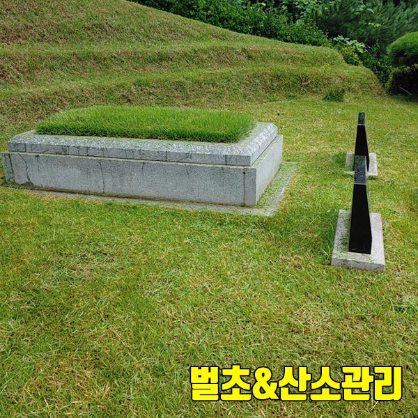 벌초대행 영원장묘석재