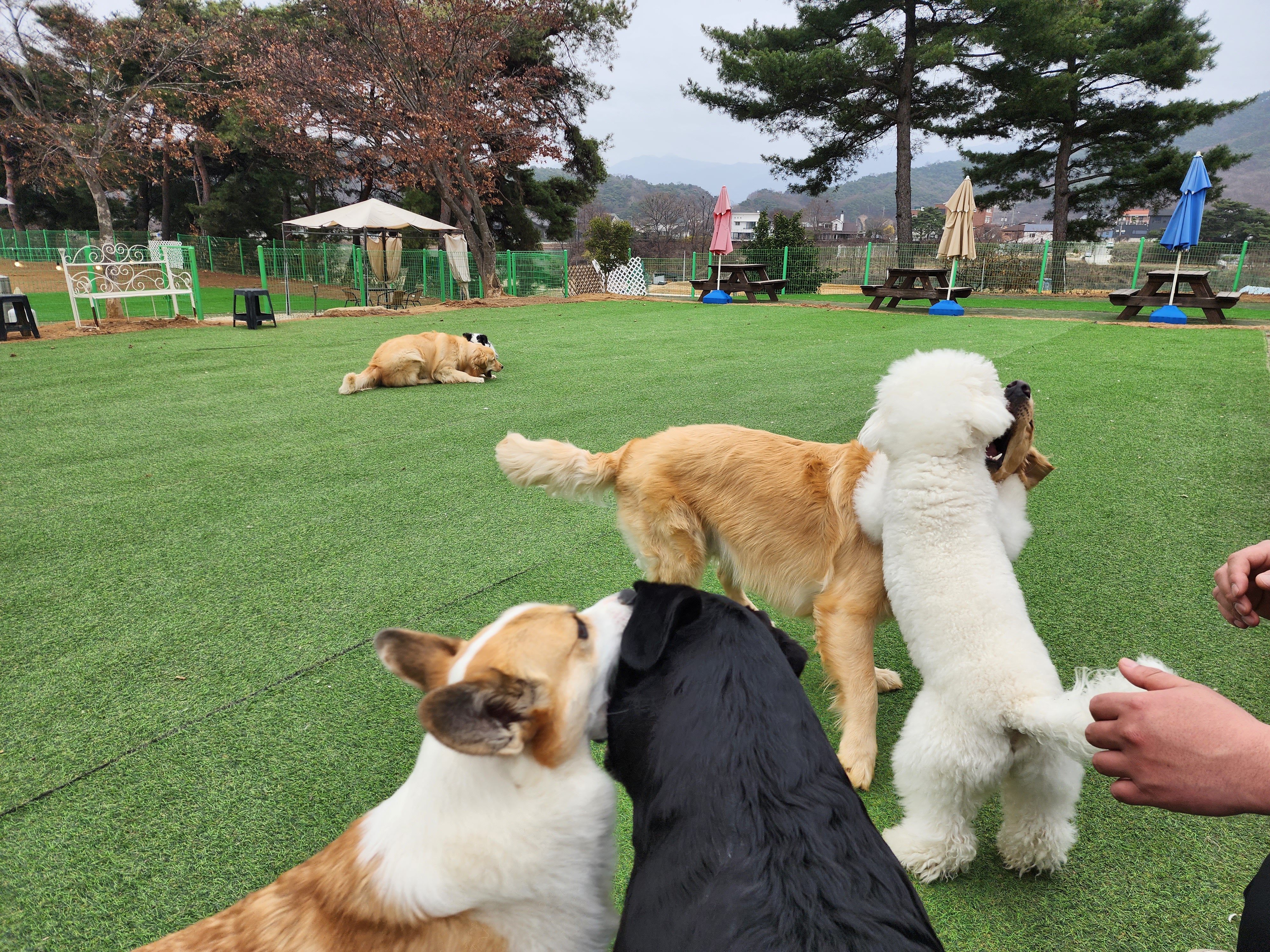 사진 3