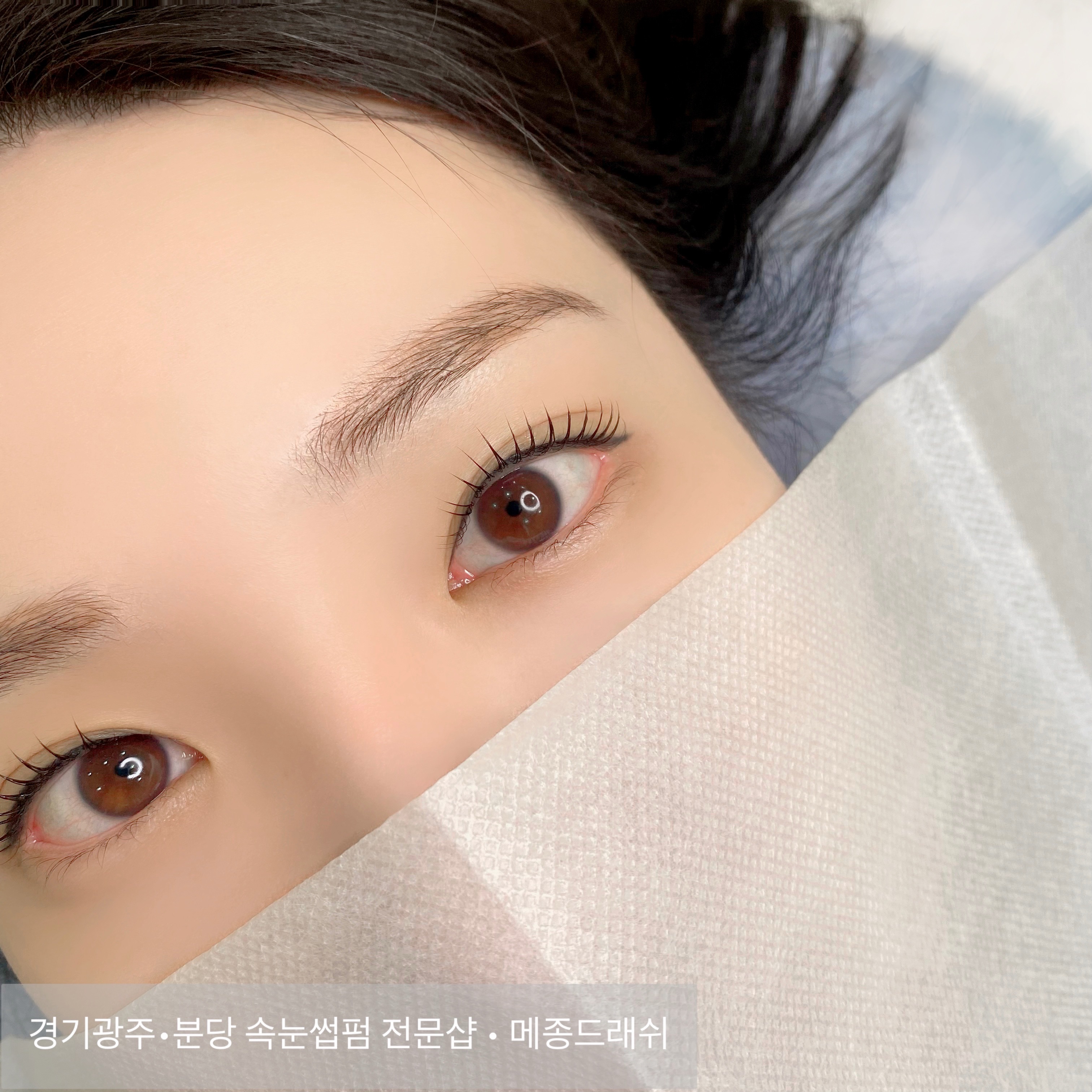 메종드래쉬