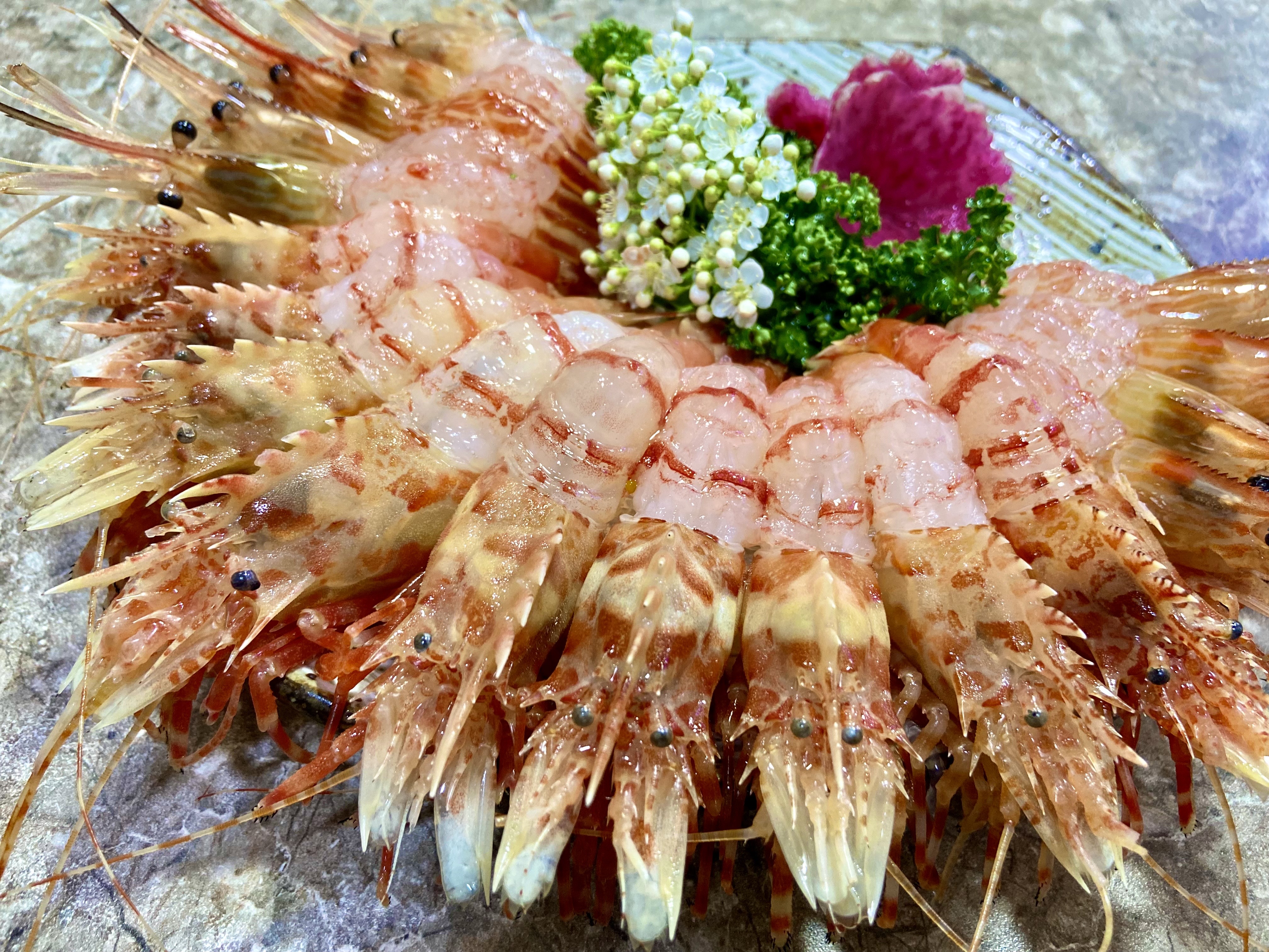 바랄새우 대구종로점 반려동물 동반 애견카페