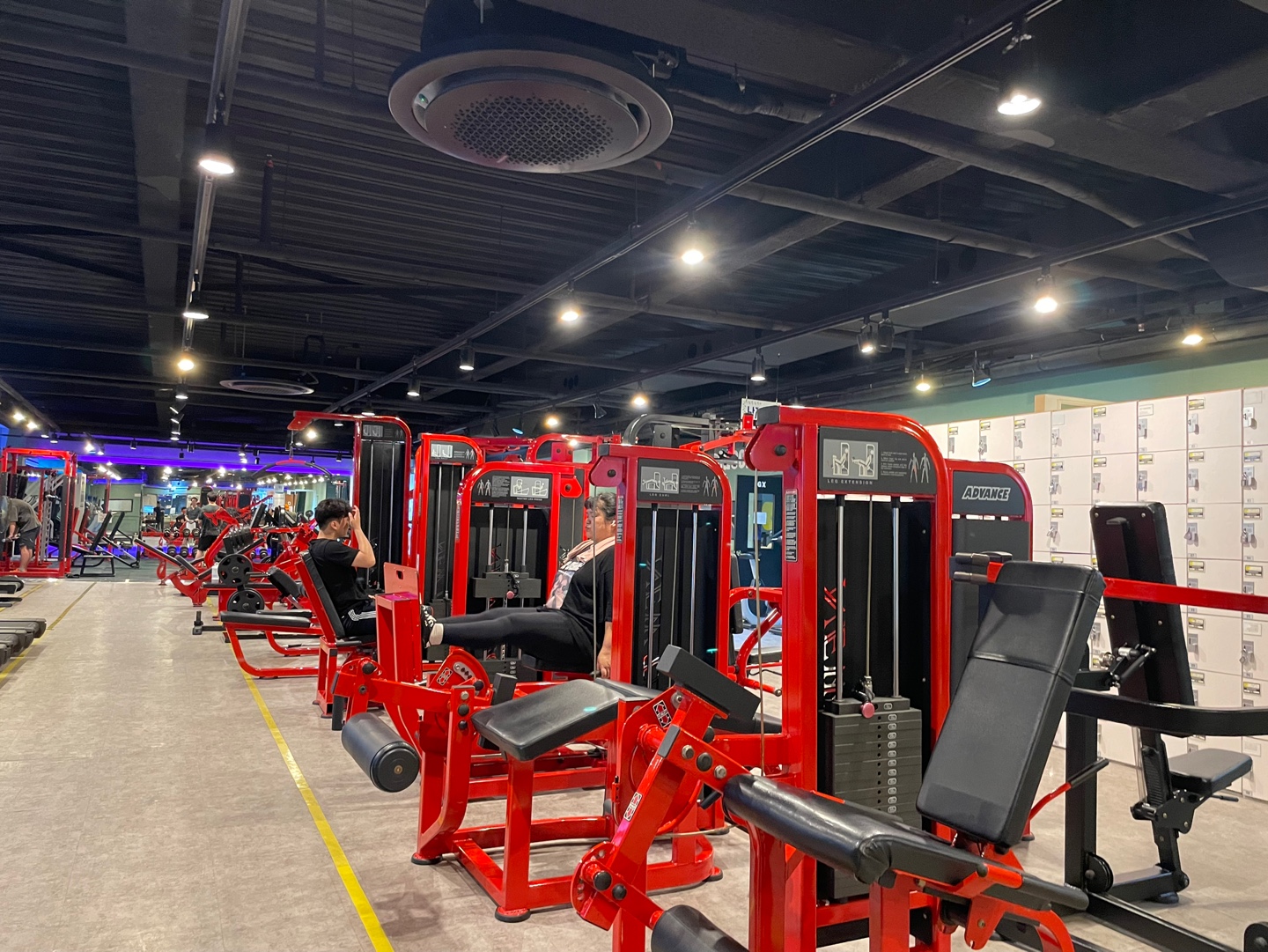 머슬앤피플 대표 이미지