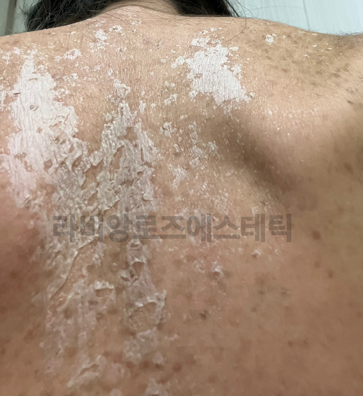 라비앙로즈 대표 이미지