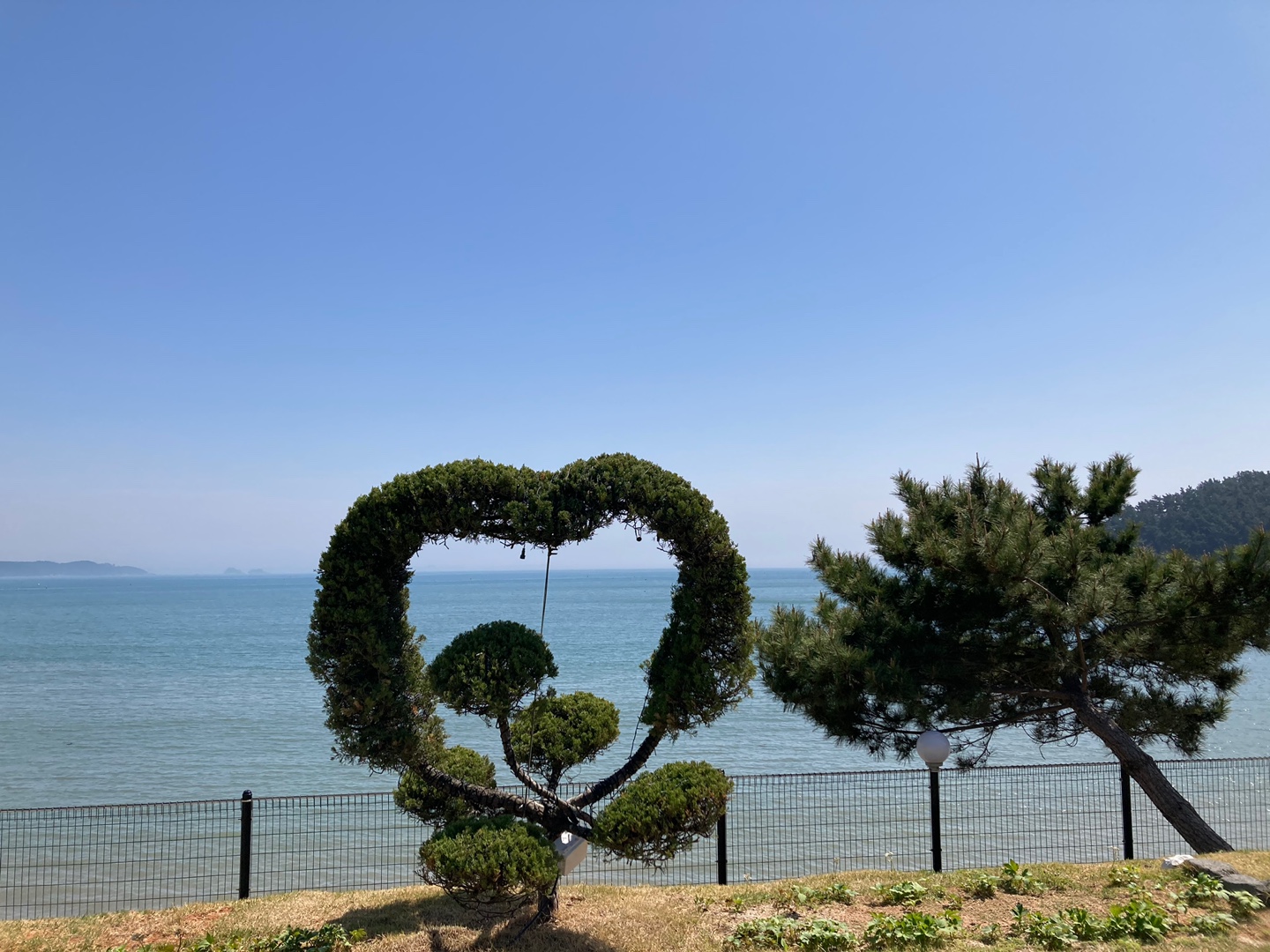캠핑드림 캠핑장
