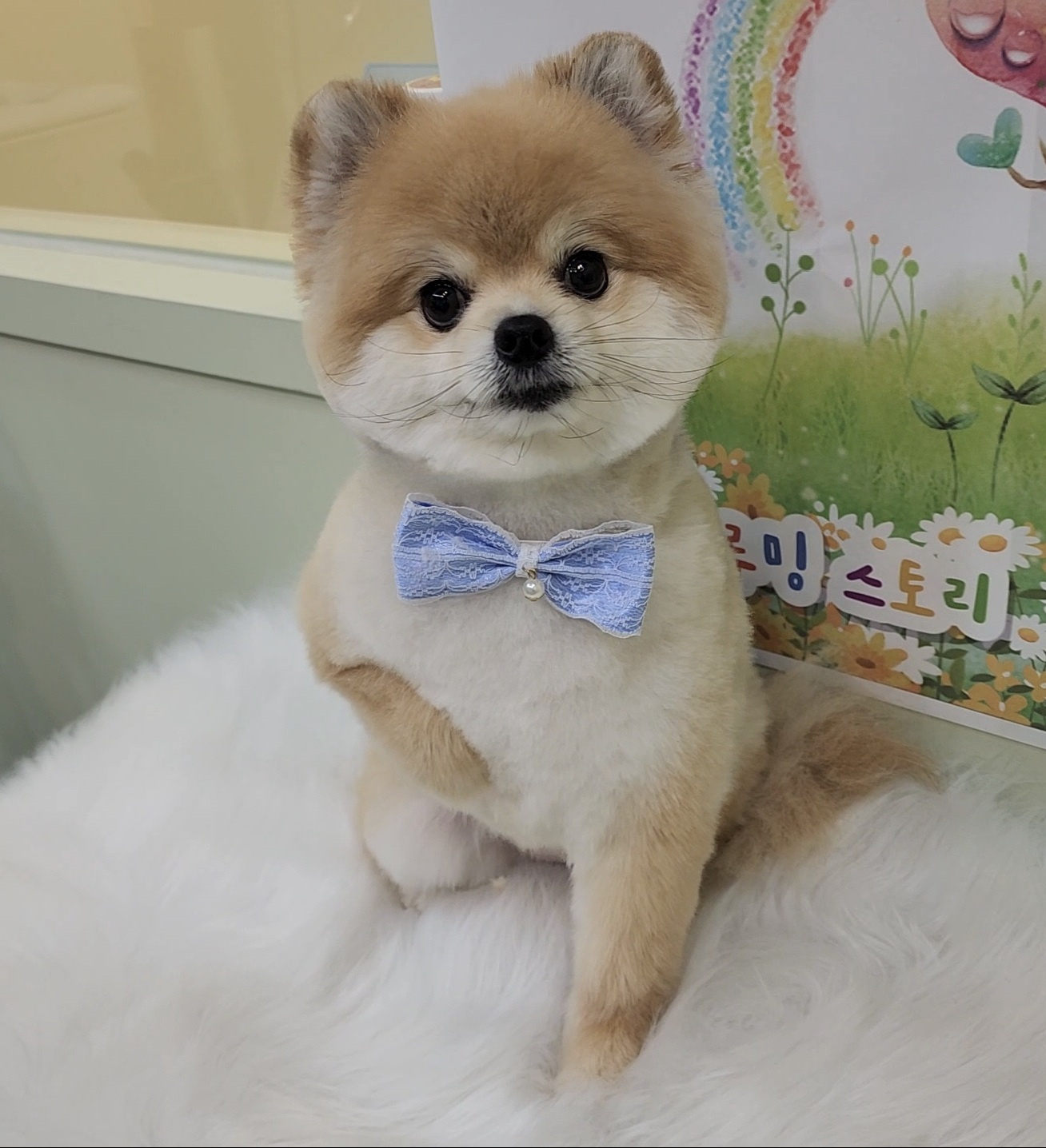 그루밍스토리 대표 이미지