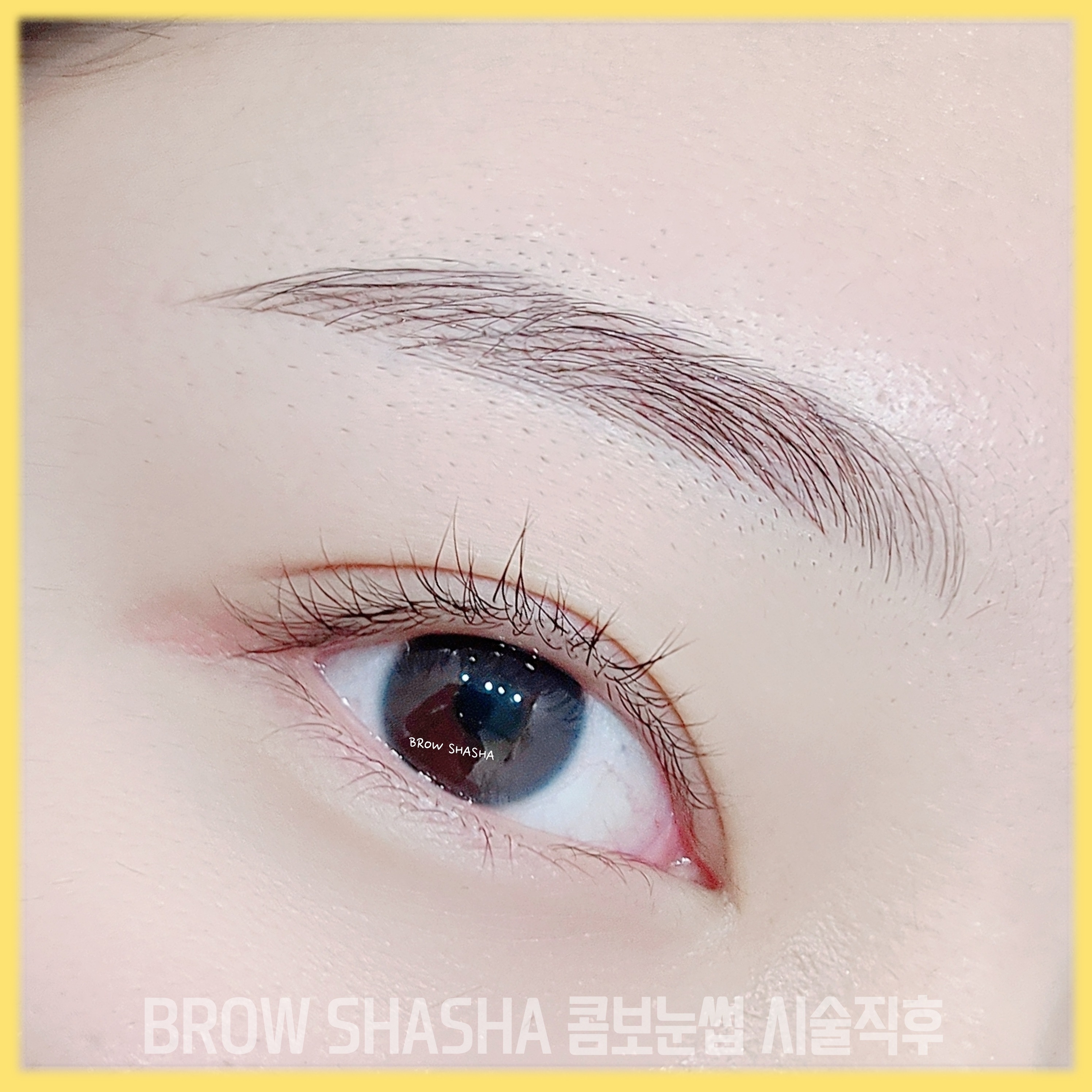 브로우샤샤