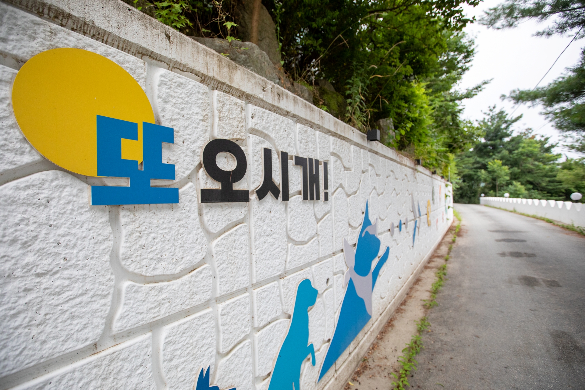 프리독펜션 반려동물 동반 애견카페