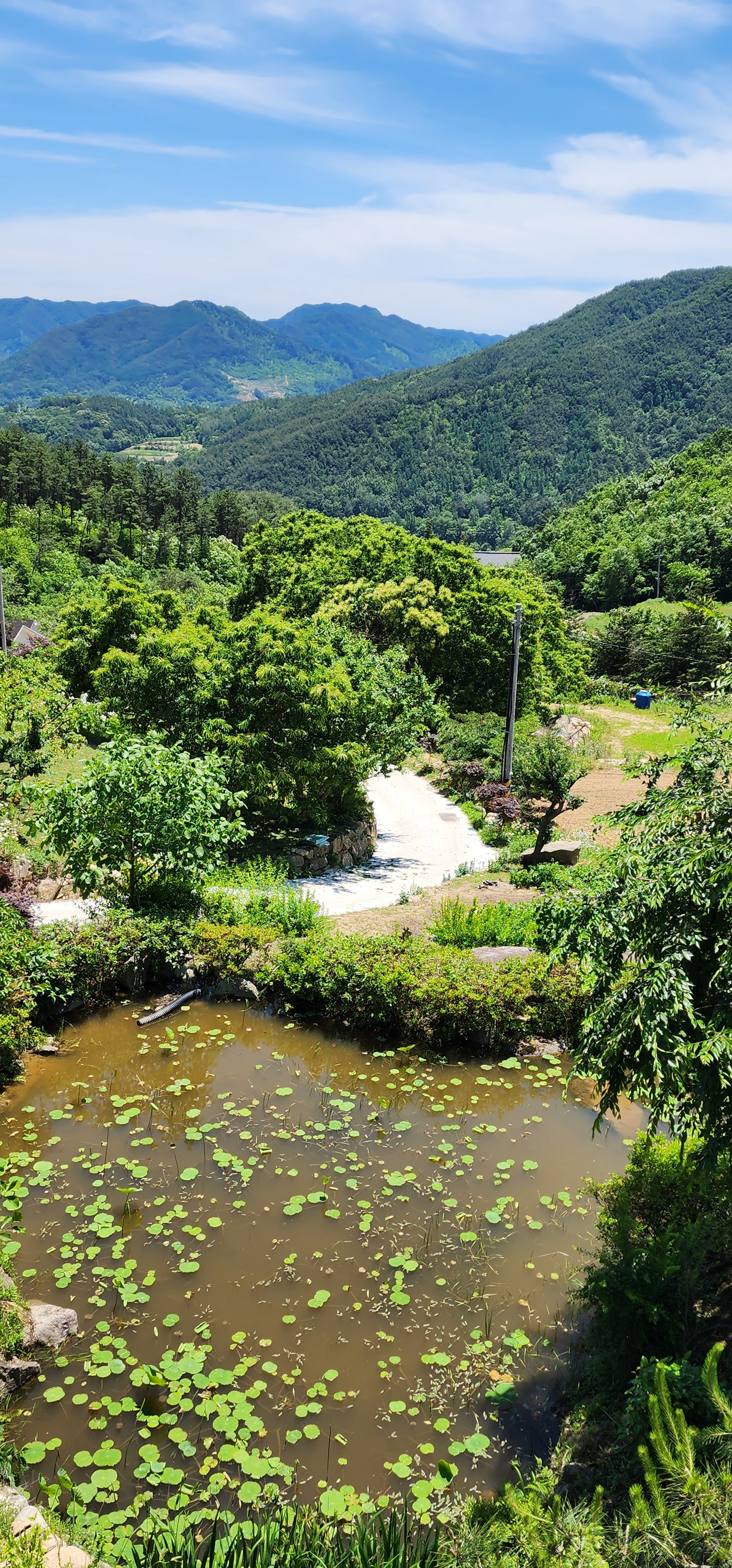 깊은산속작은연못