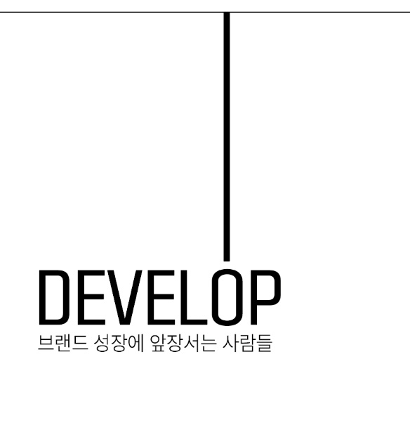 디벨롭