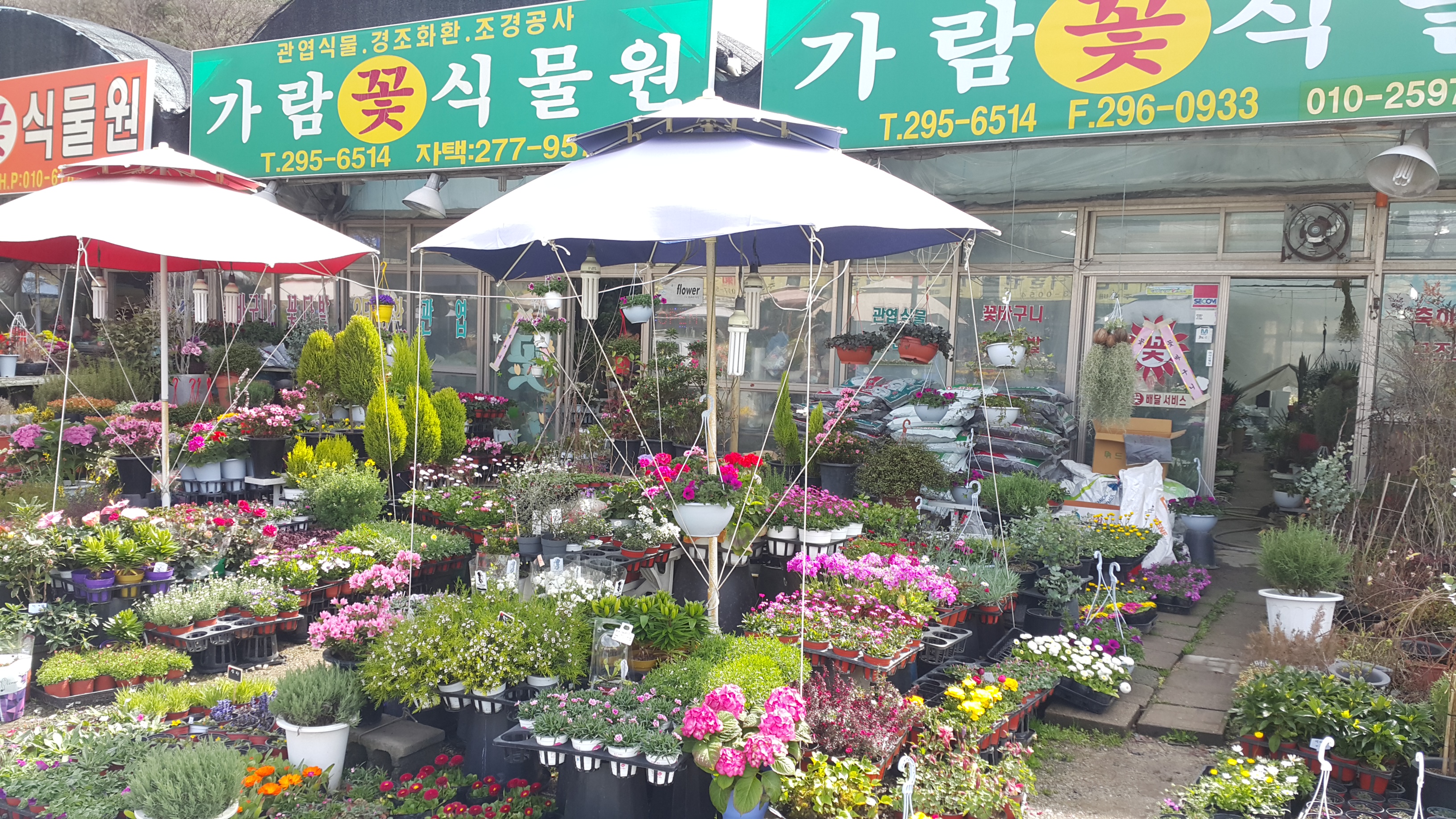 가람꽃식물원