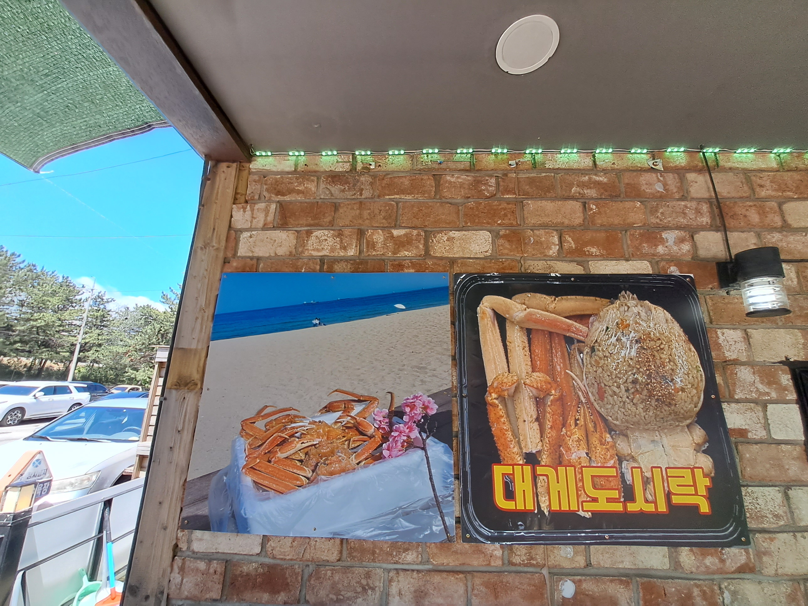 대게특별시