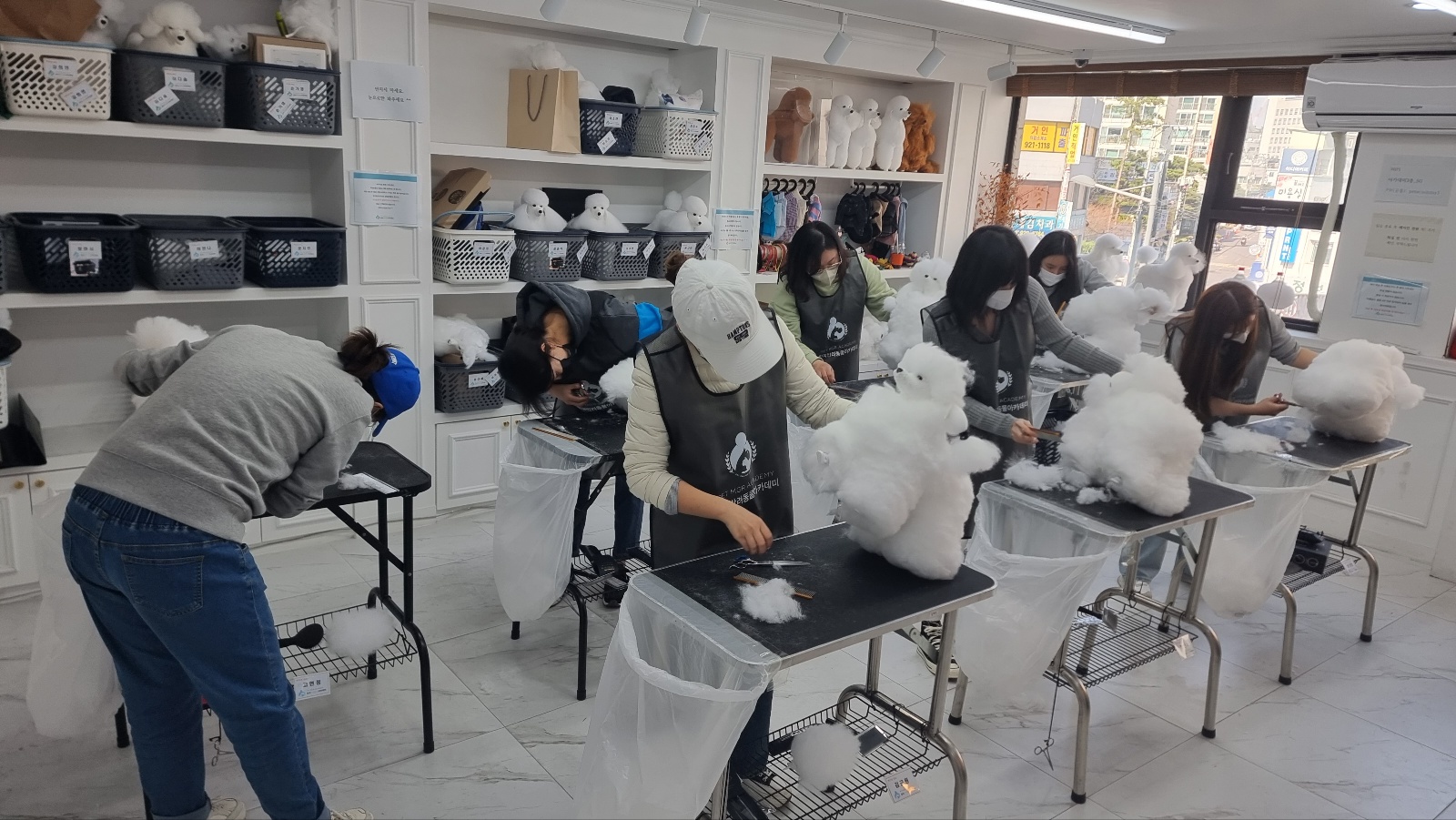 한국반려동물아카데미