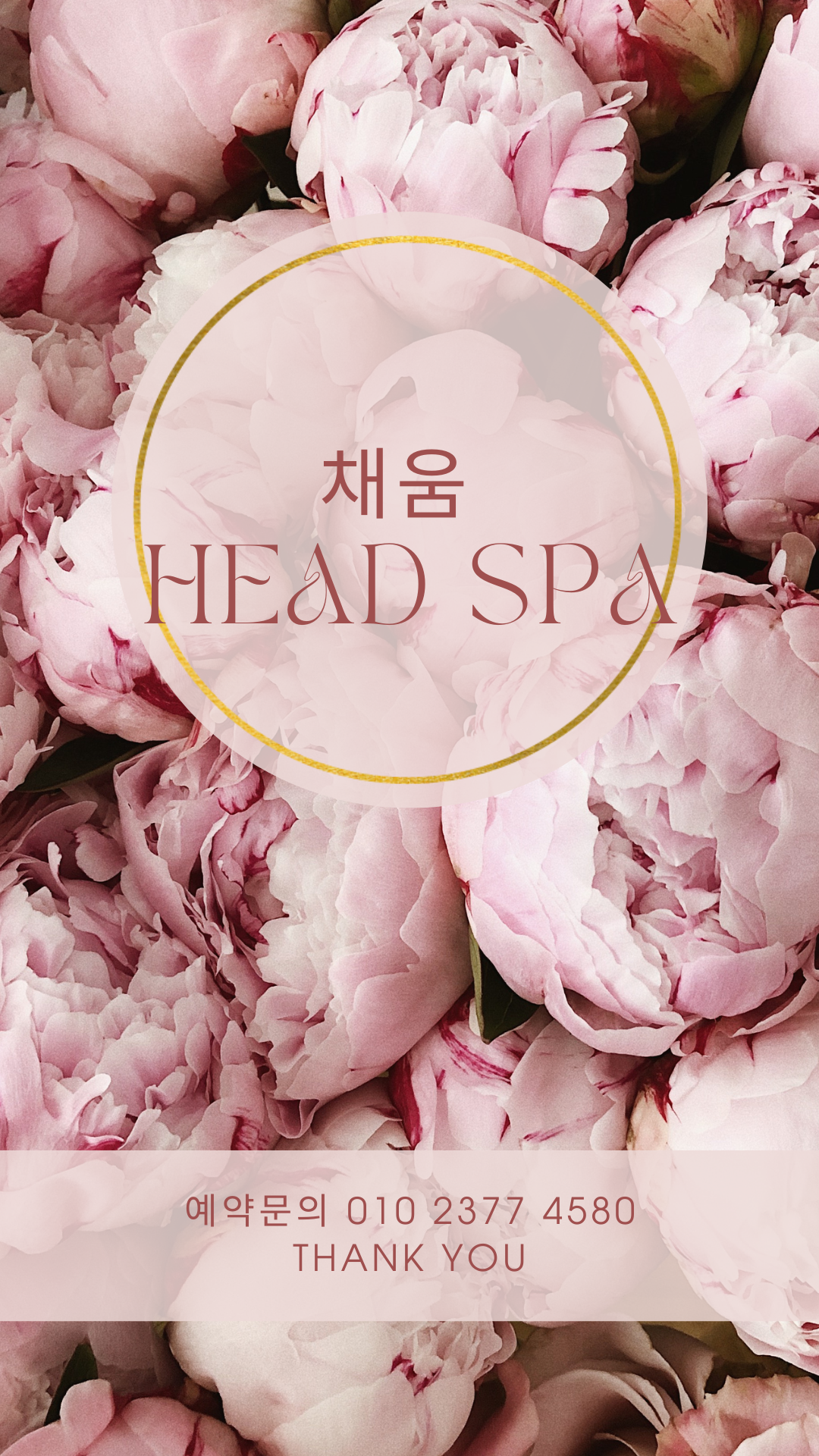 채움 컬러앤하우스