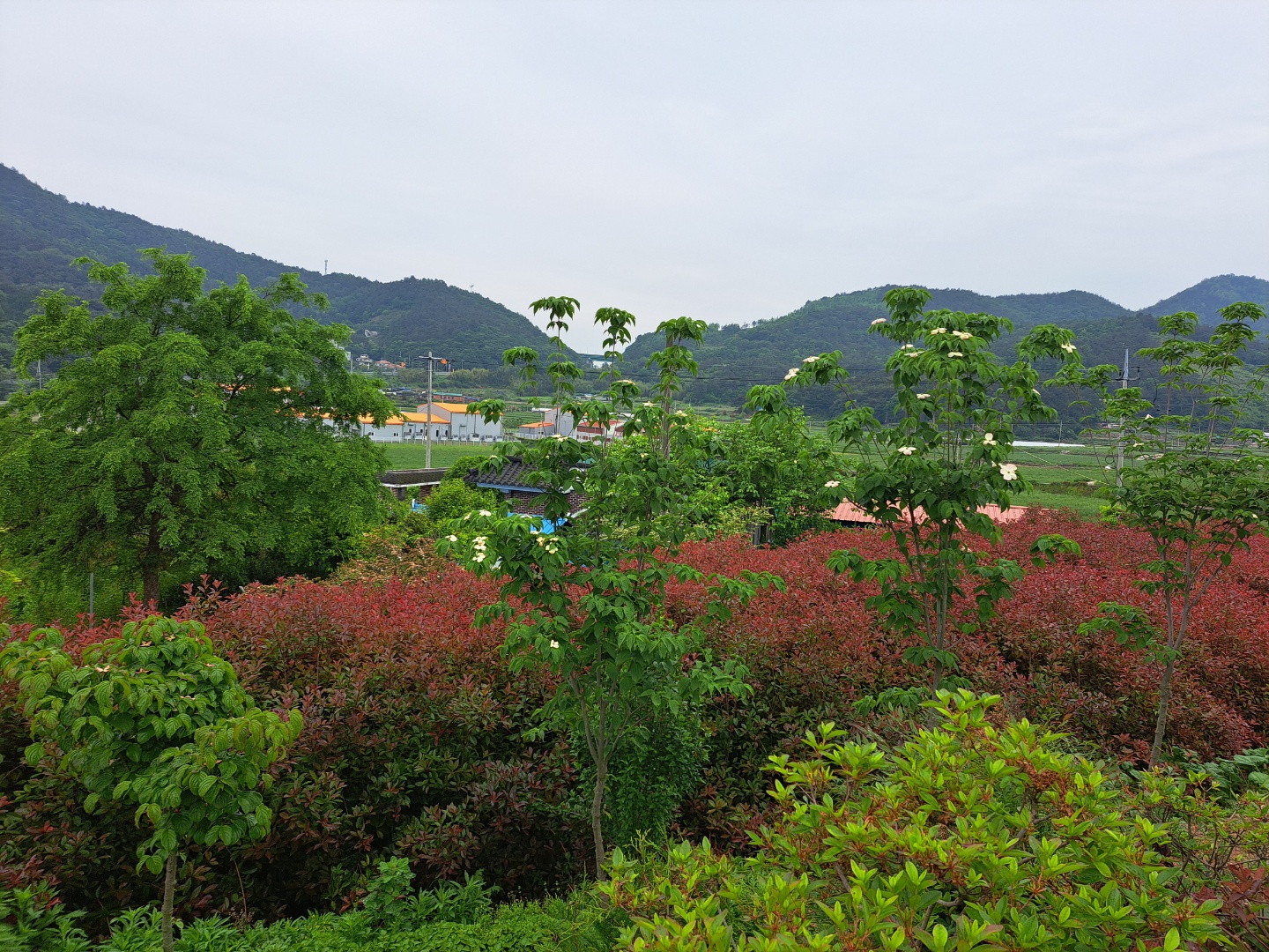 은혜농원