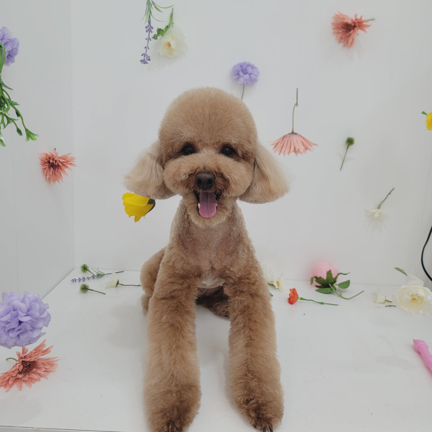 헤이베베 대표 이미지