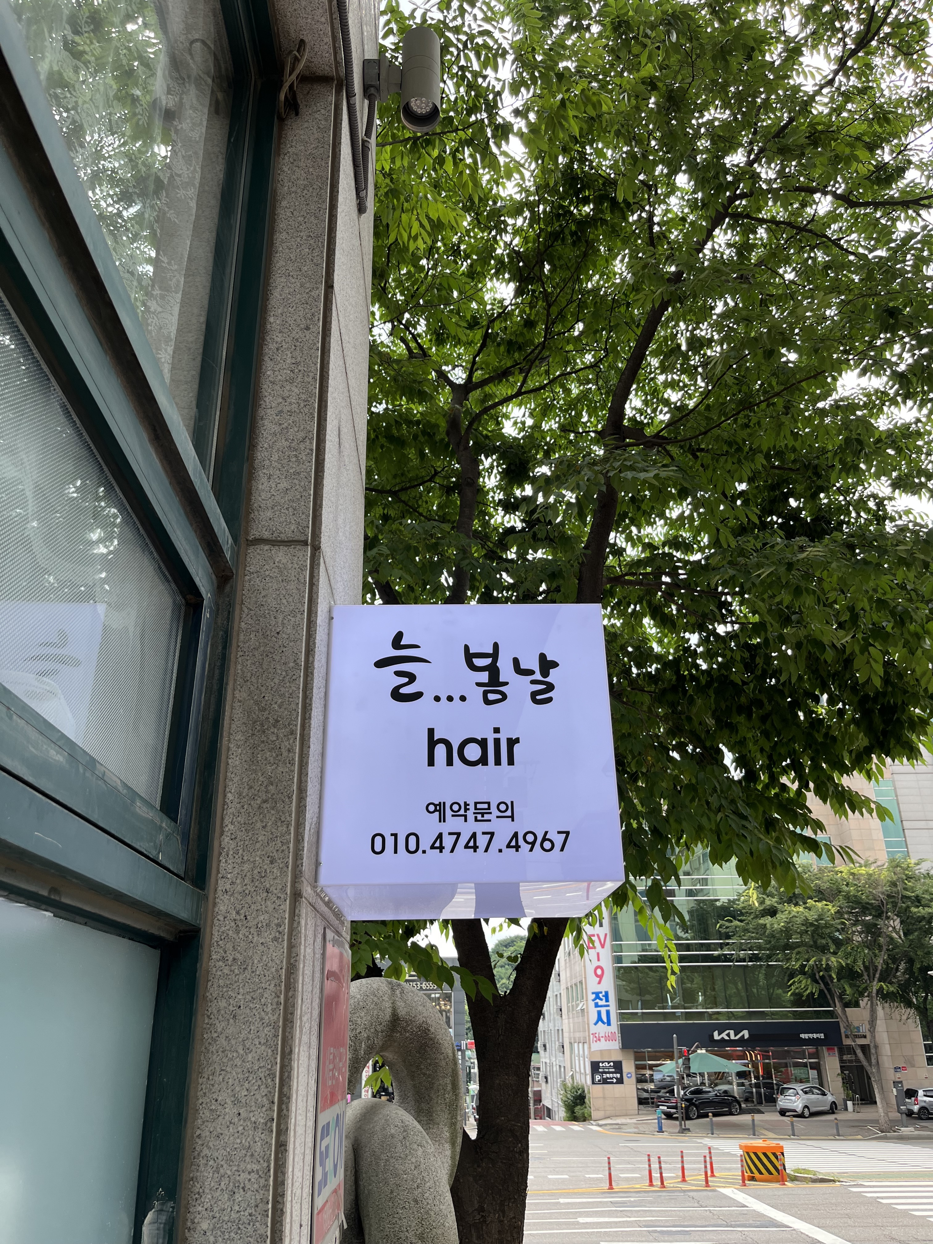늘봄날