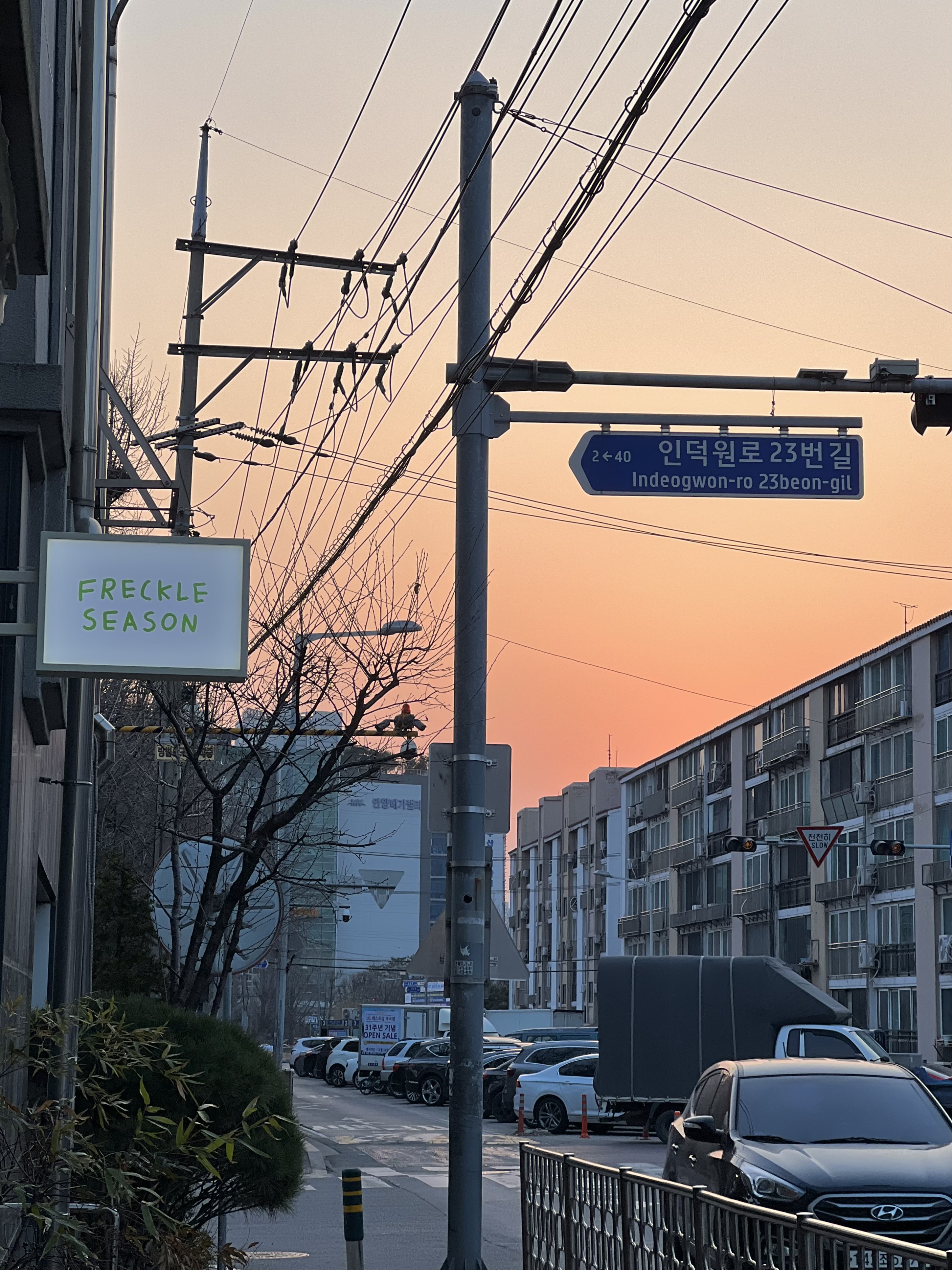 프레클시즌