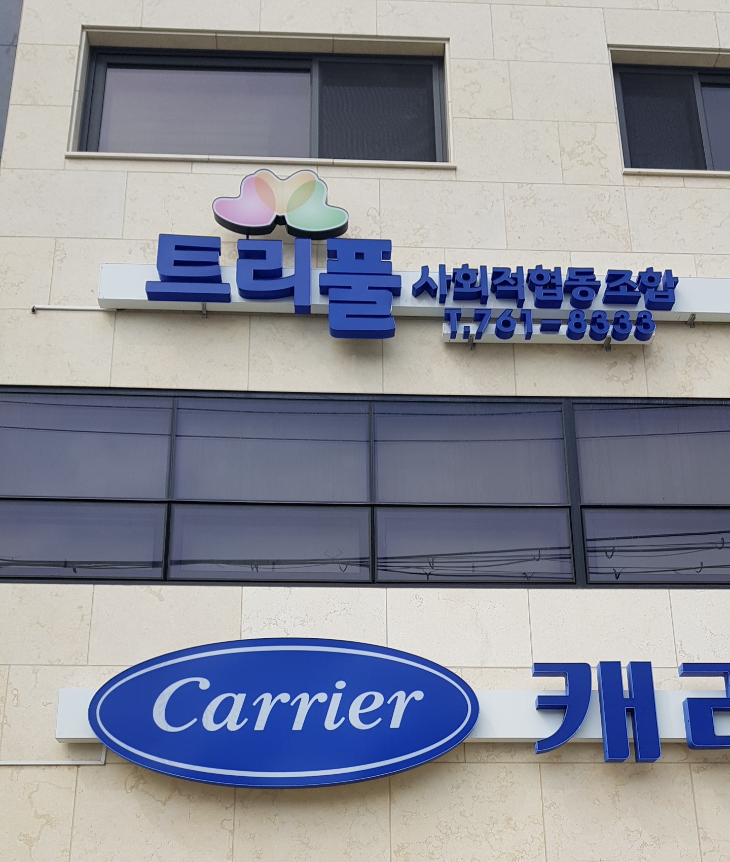트리 풀 사회적협동조합