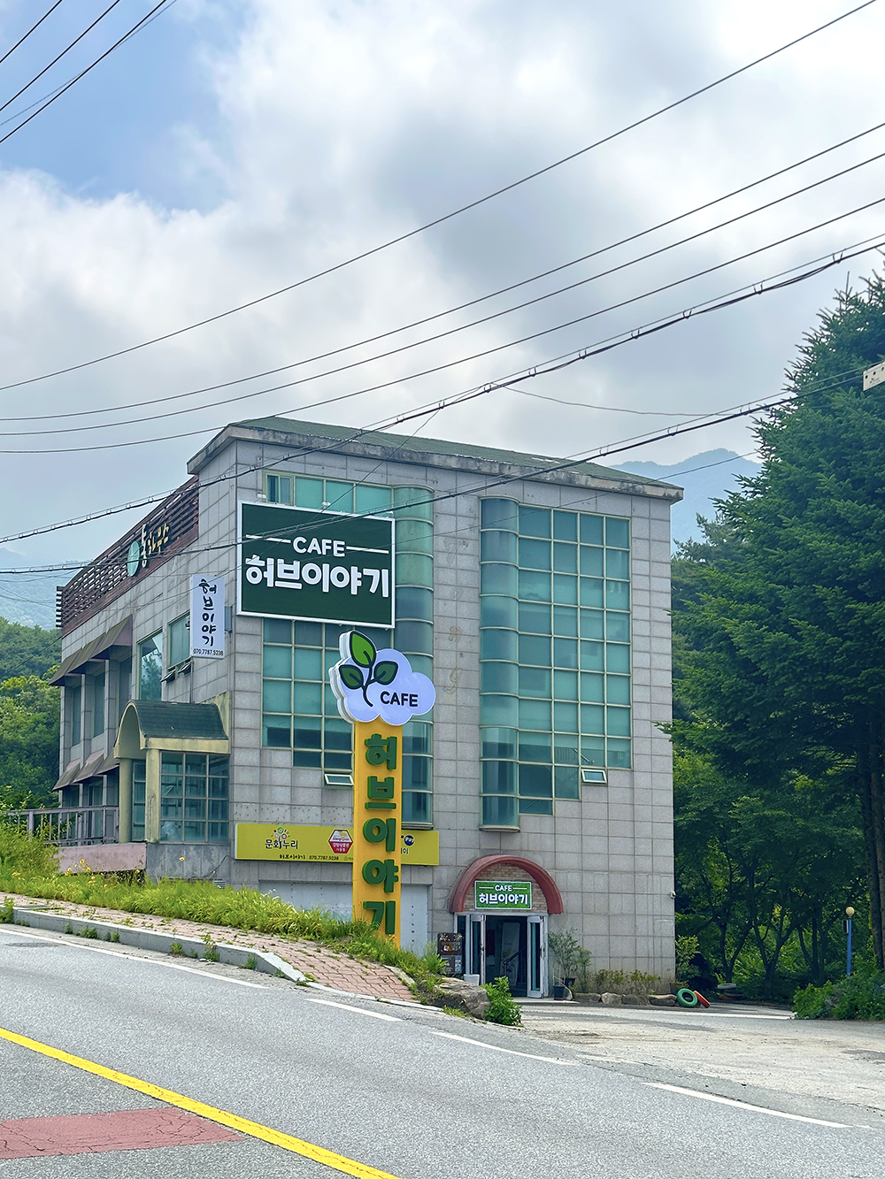 허브이야기