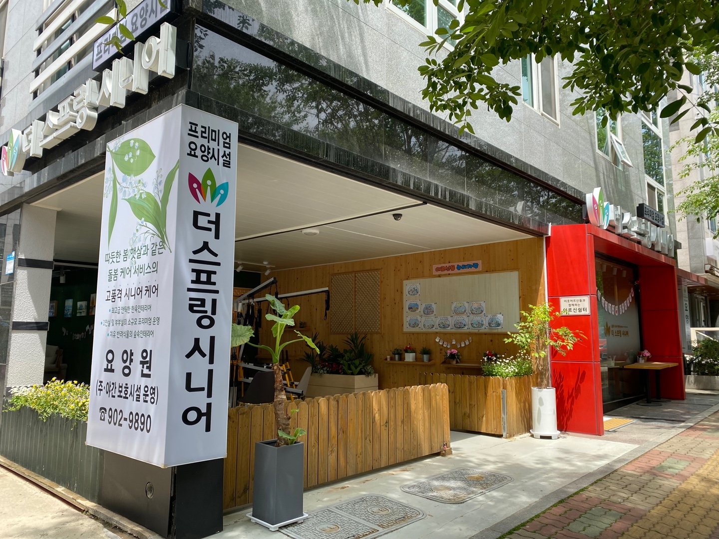 더스프링시니어