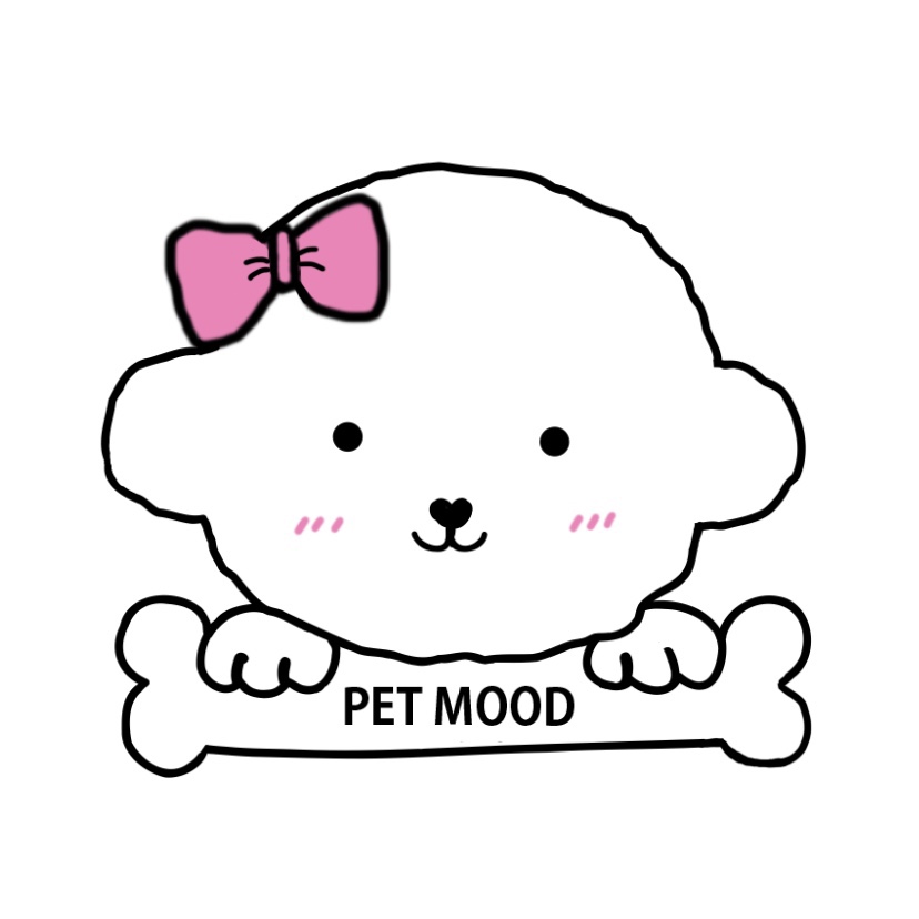 펫무드 대표 이미지