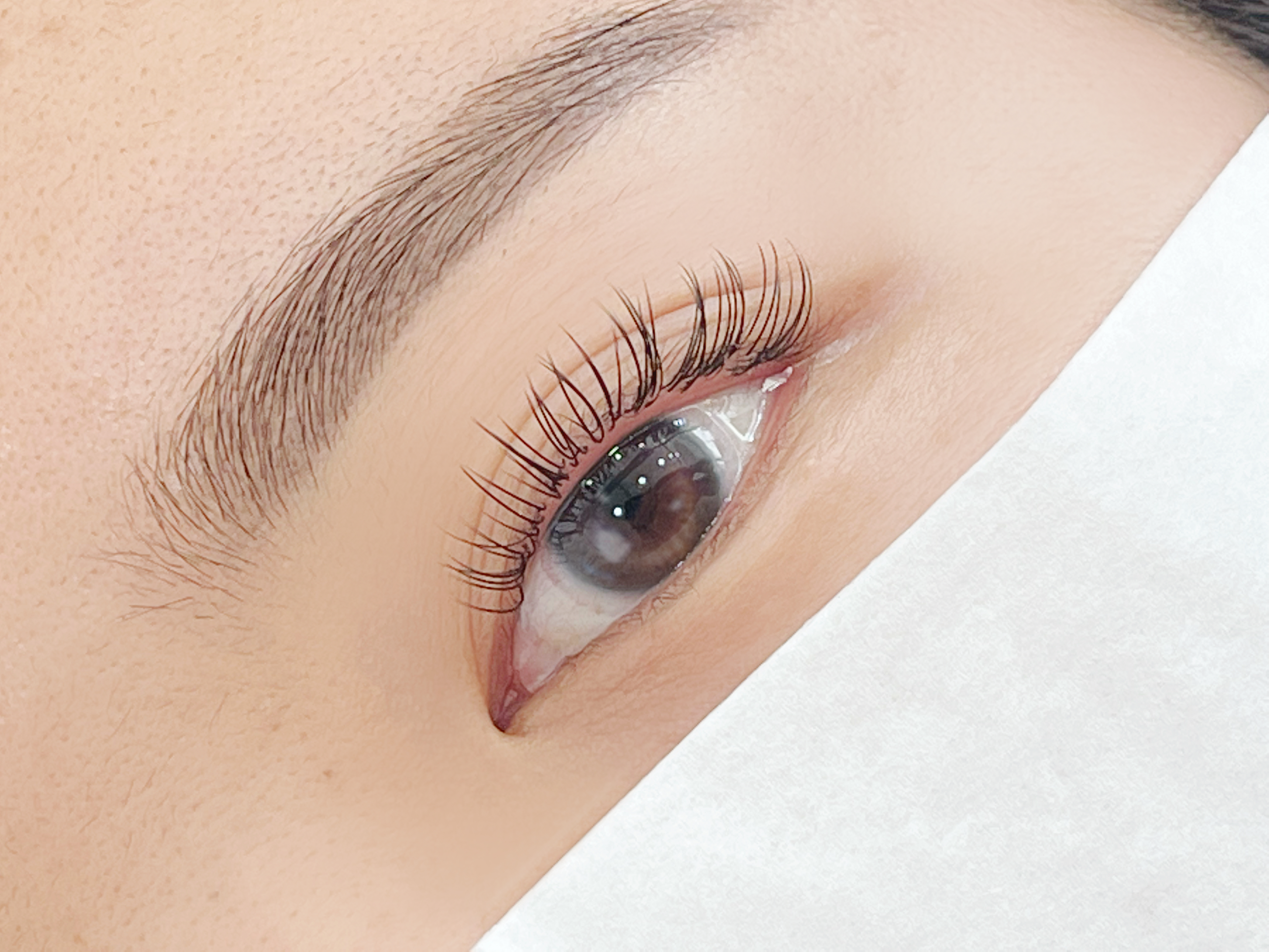 지은브로우 대표 이미지