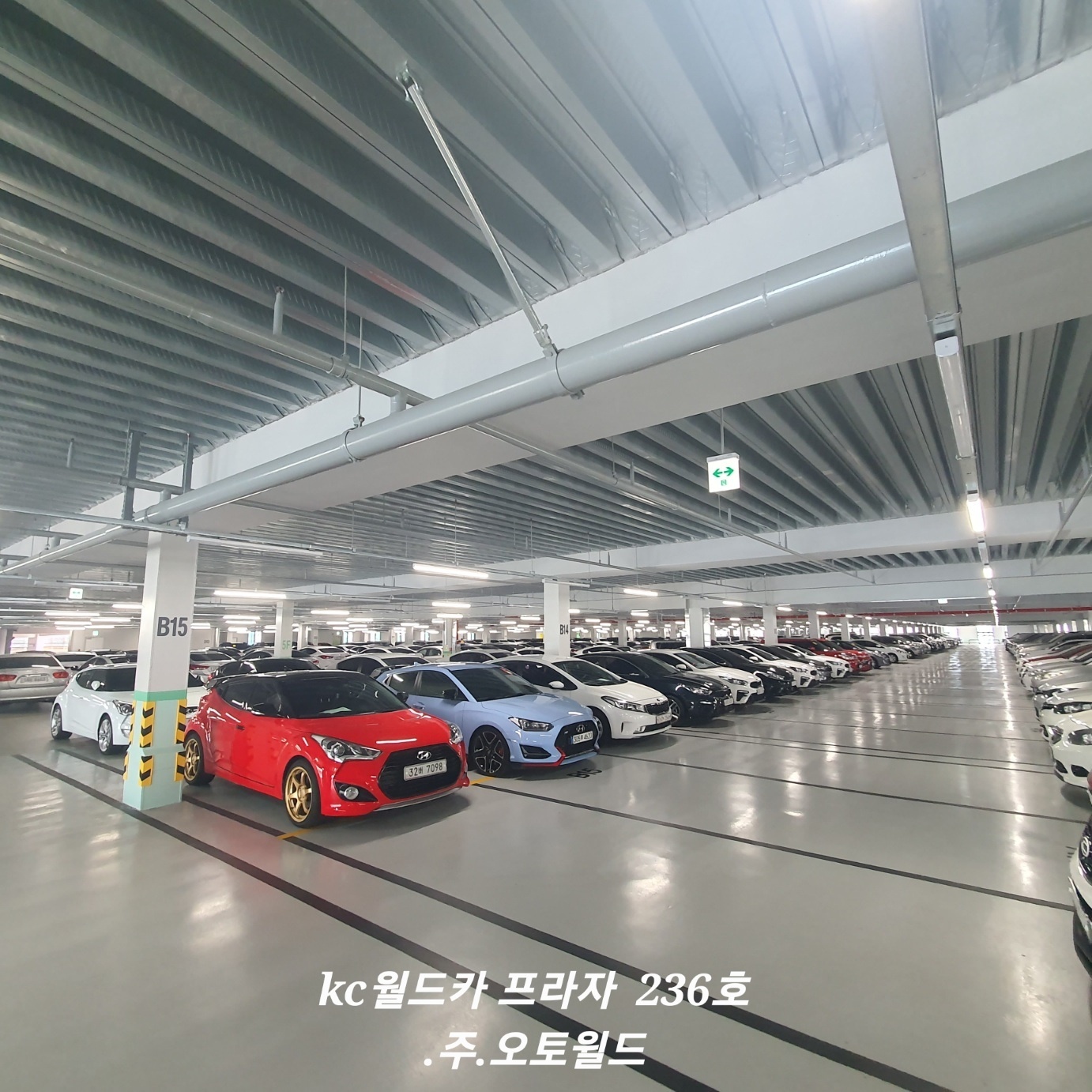 오토월드