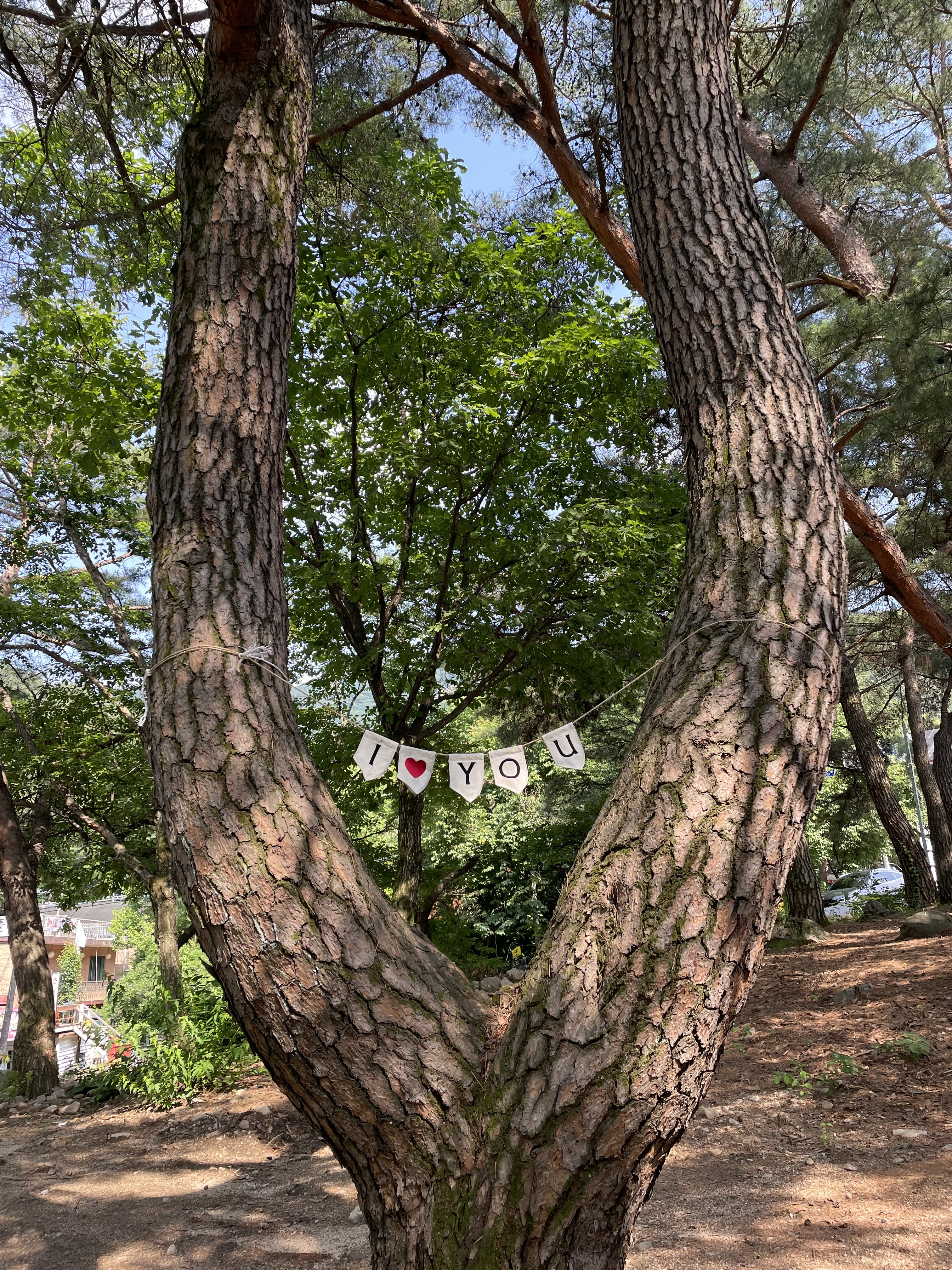 투썸플레이스 포천산정랜드점