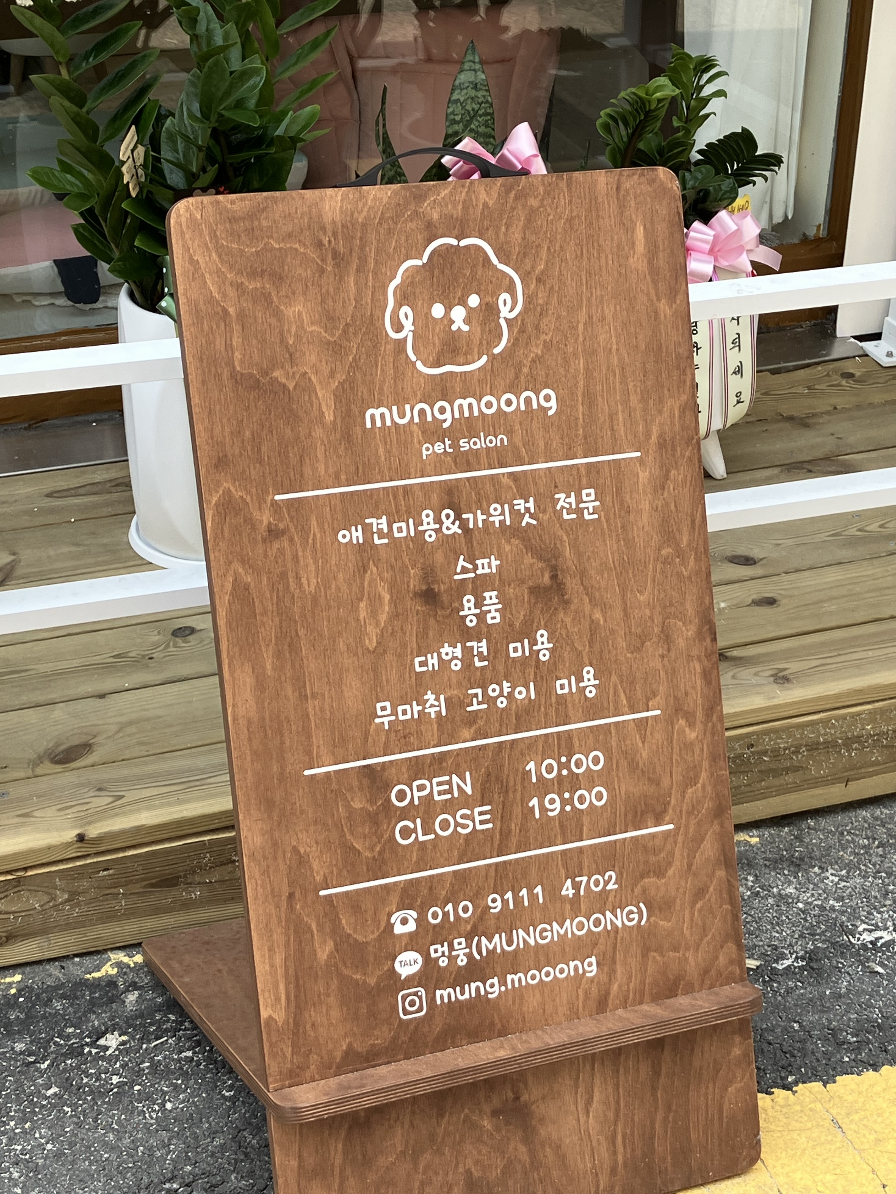멍뭉 대표 이미지