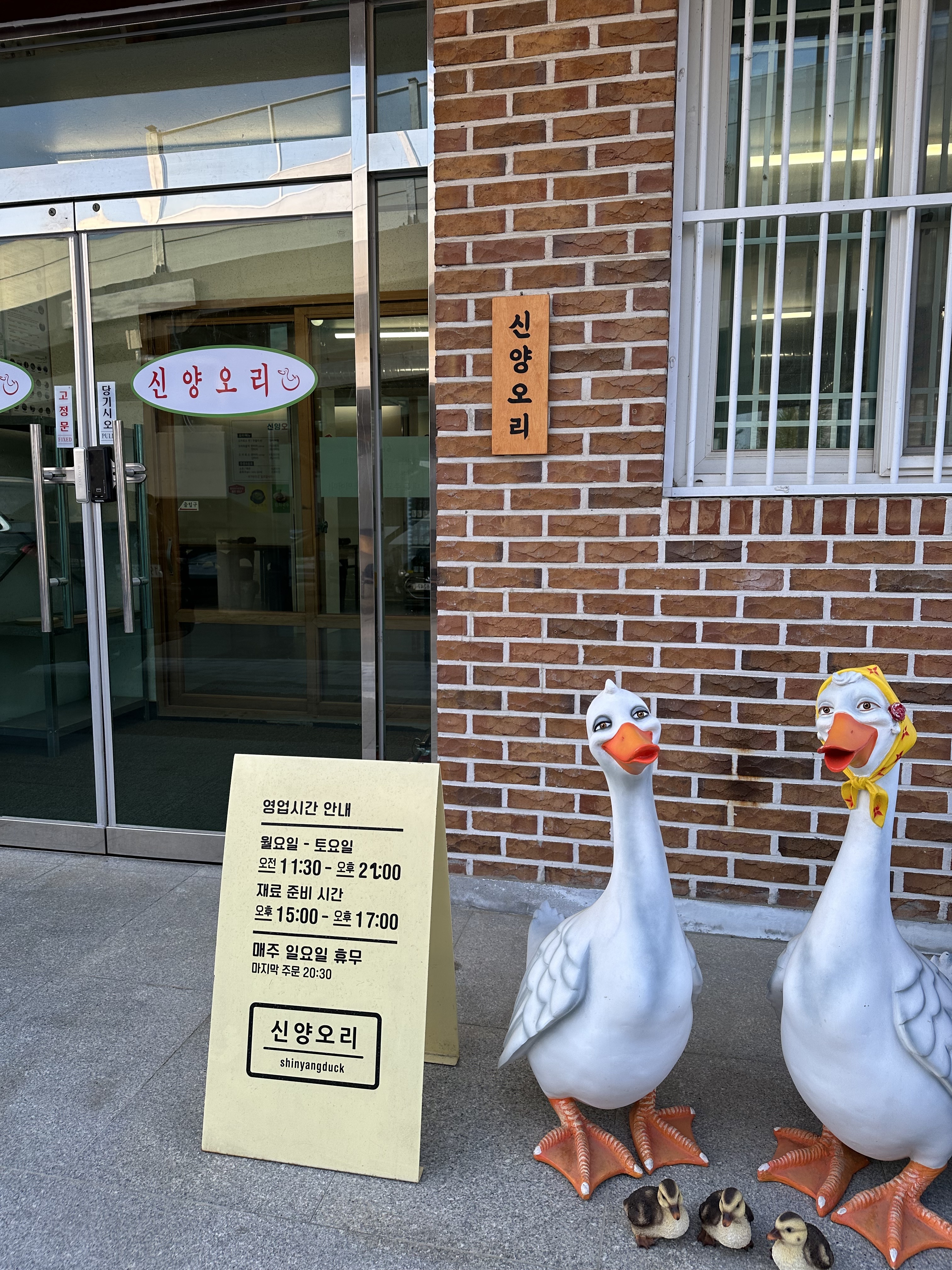 신양오리