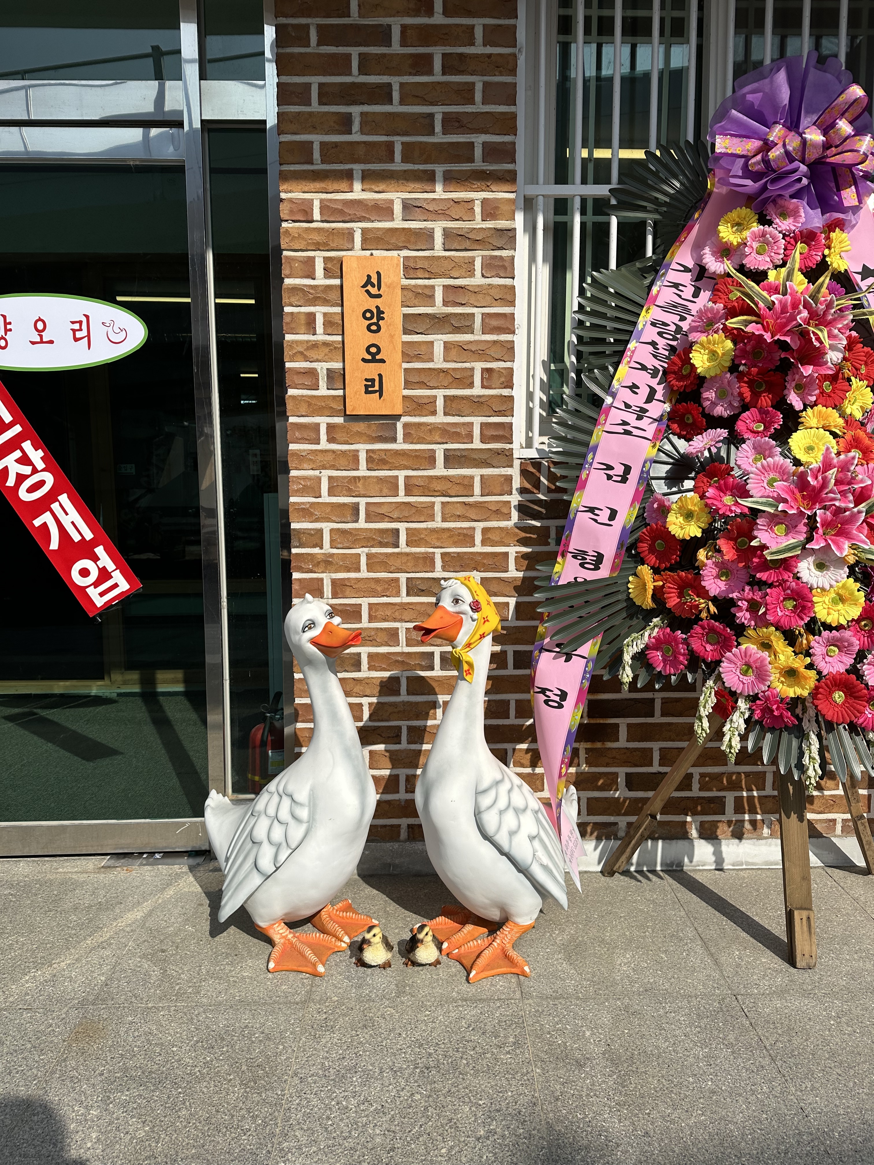 신양오리