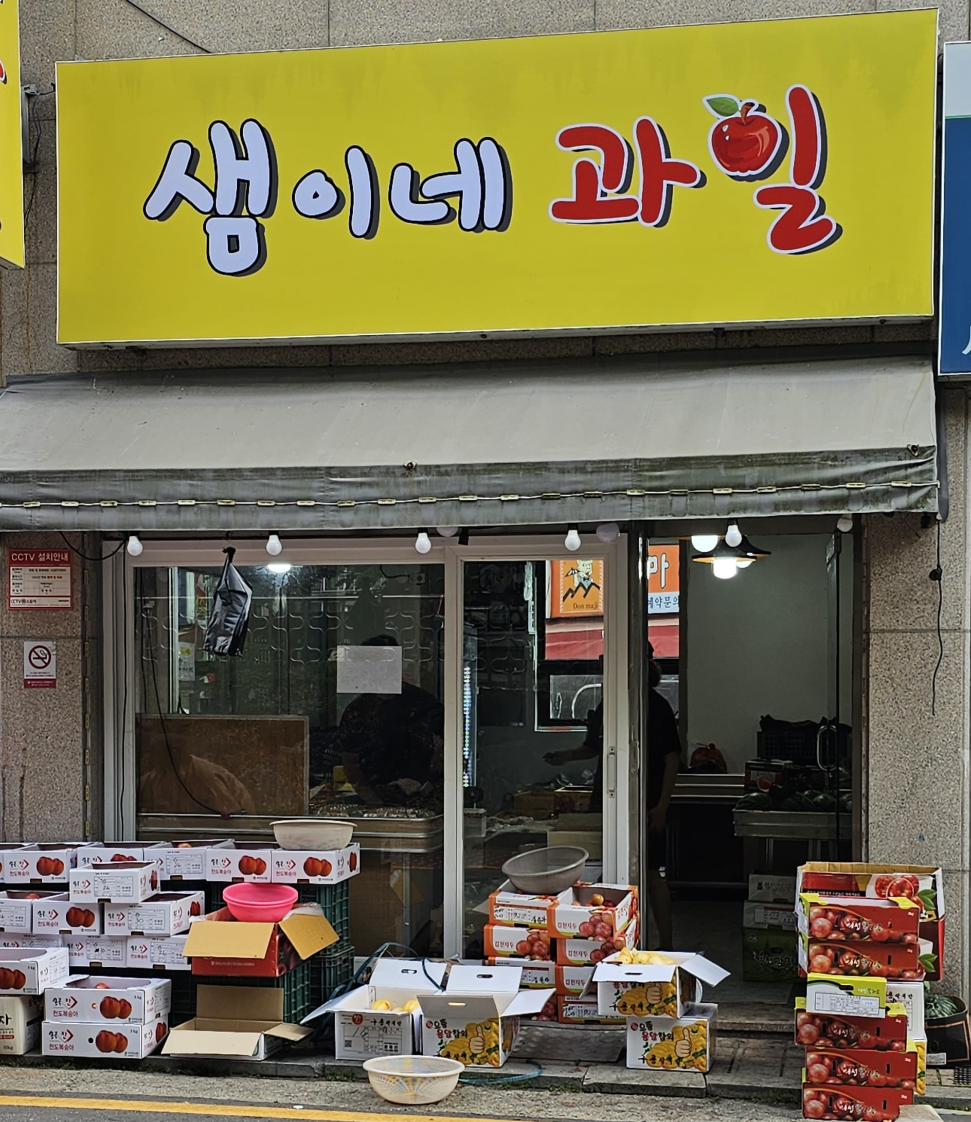 샘이네 과일